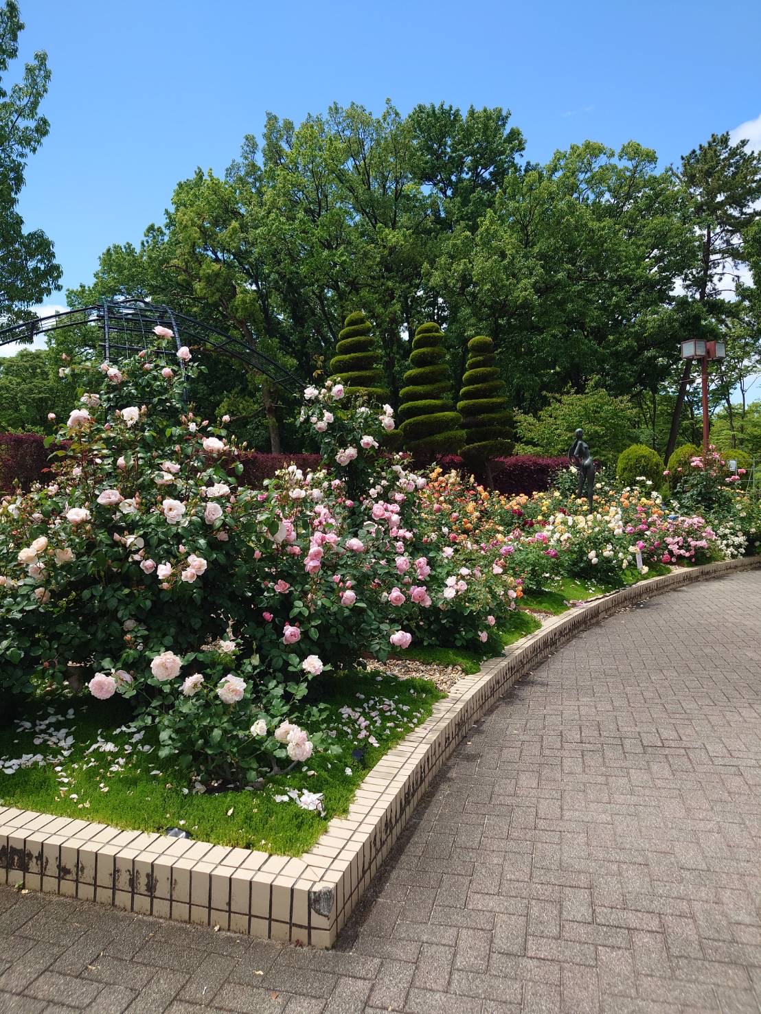 rose garden7.jpg