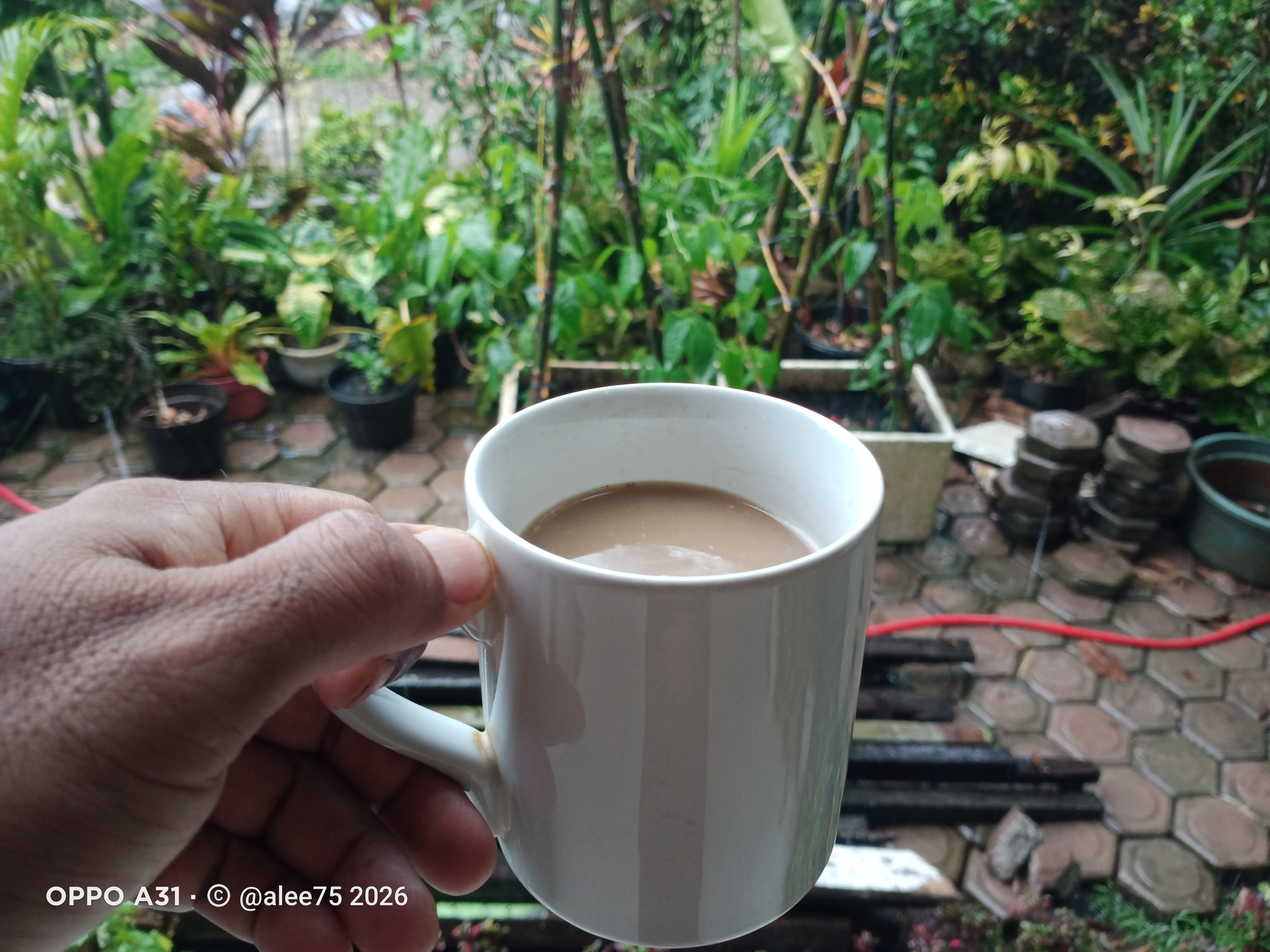 IMG20260912172410.jpg