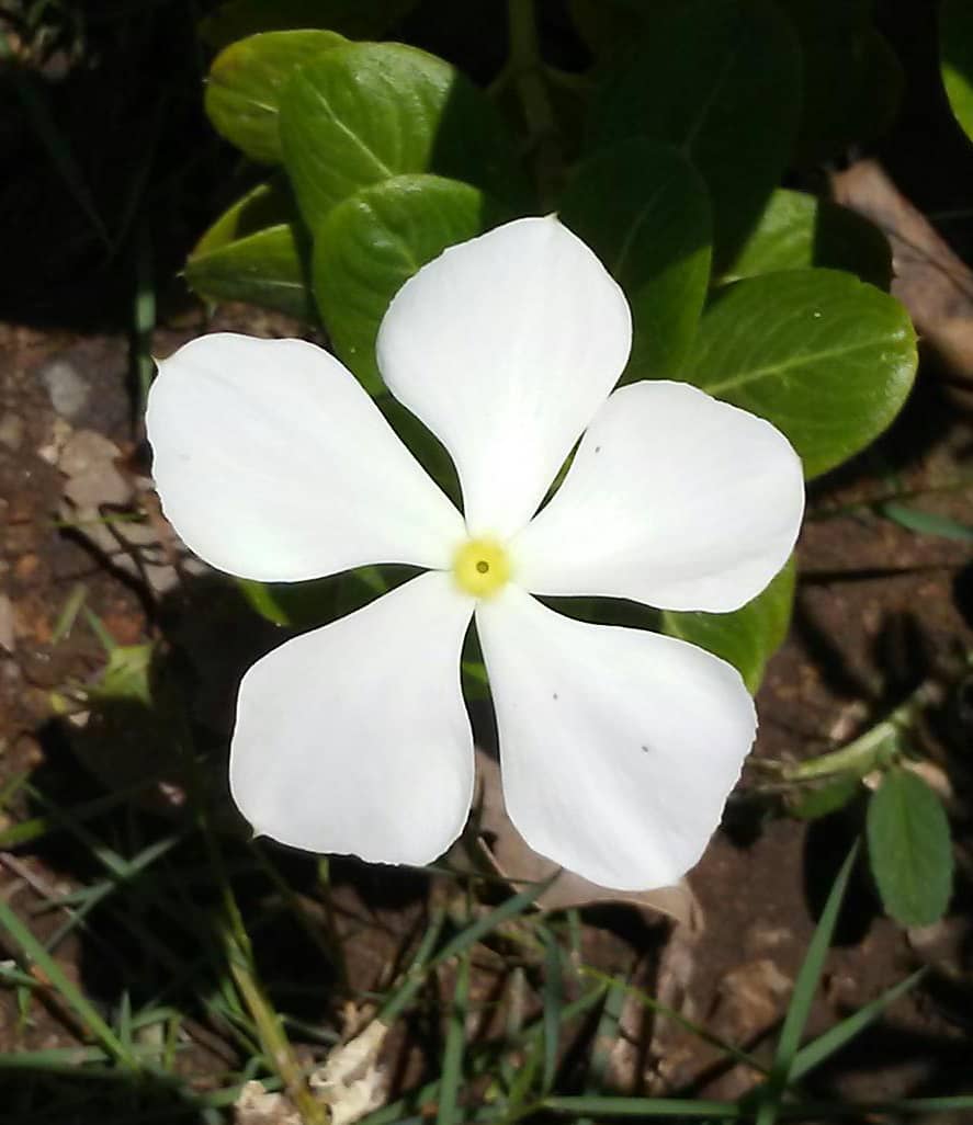 WhatsApp Image 2021-08-27 at 7.21.34 AM (1).jpeg