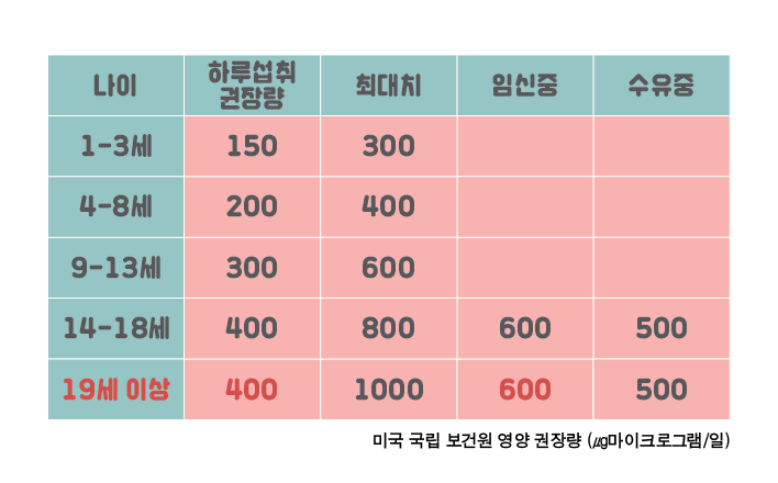 임신 13주차 임신과 엽산 (4).png