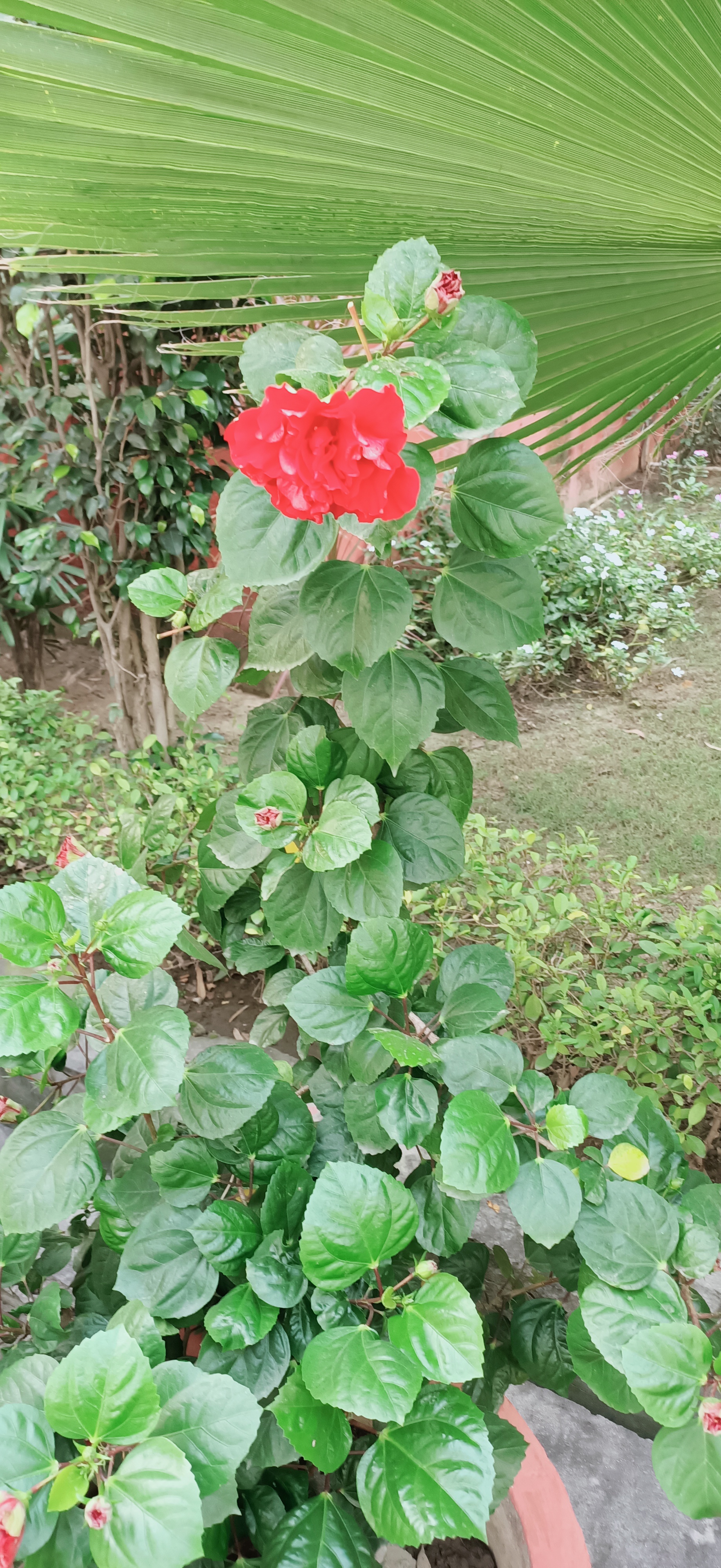 IMG20221018072851.jpg