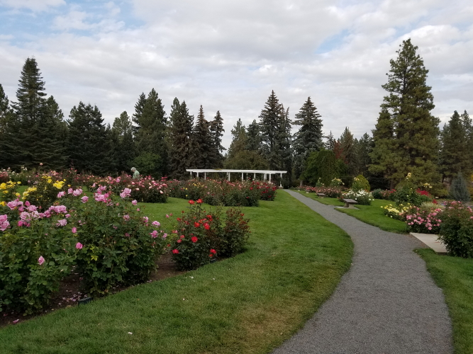 20181001_142236_6.jpg
