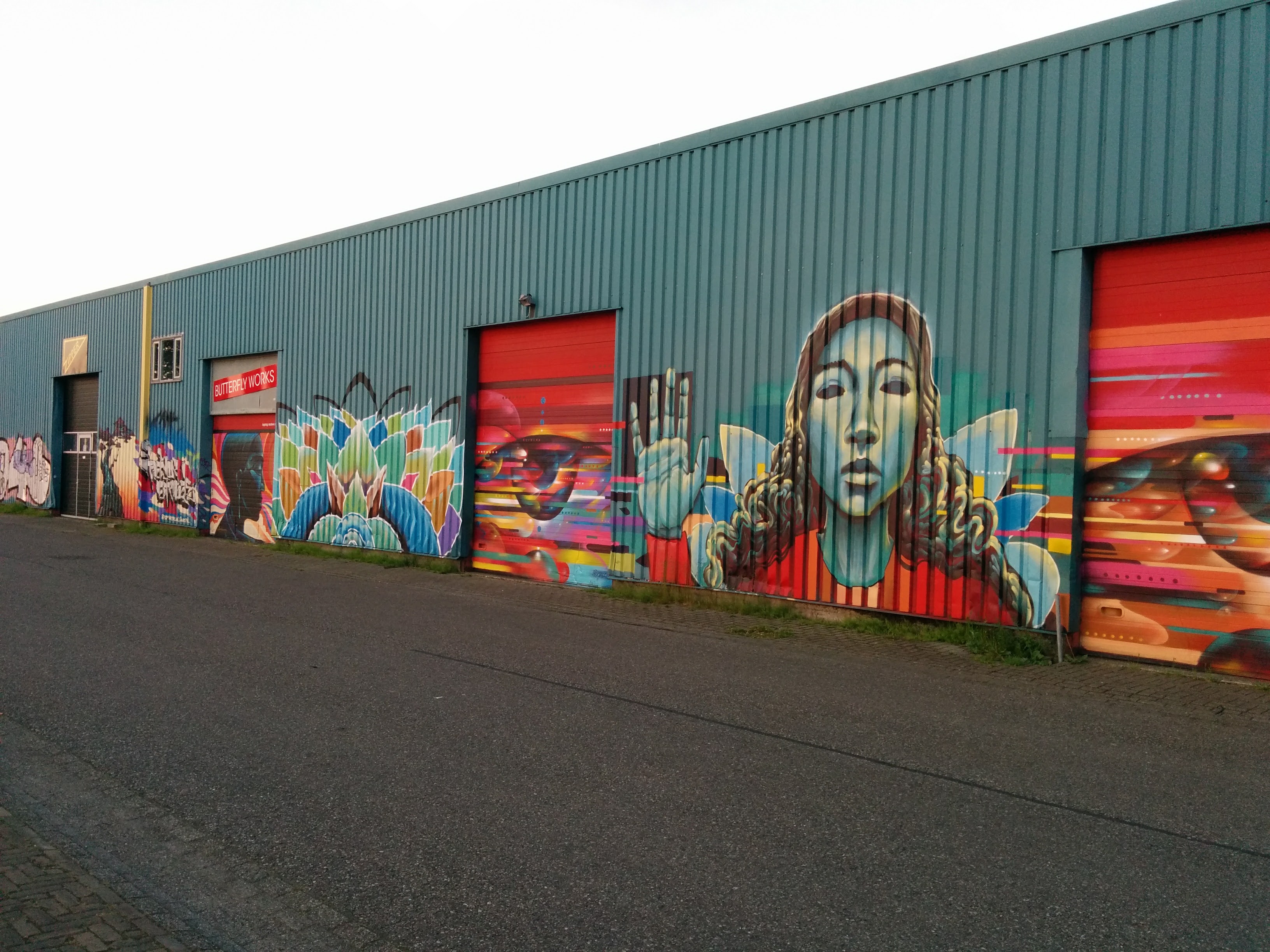 IMG_20170521_211354 (1).jpg