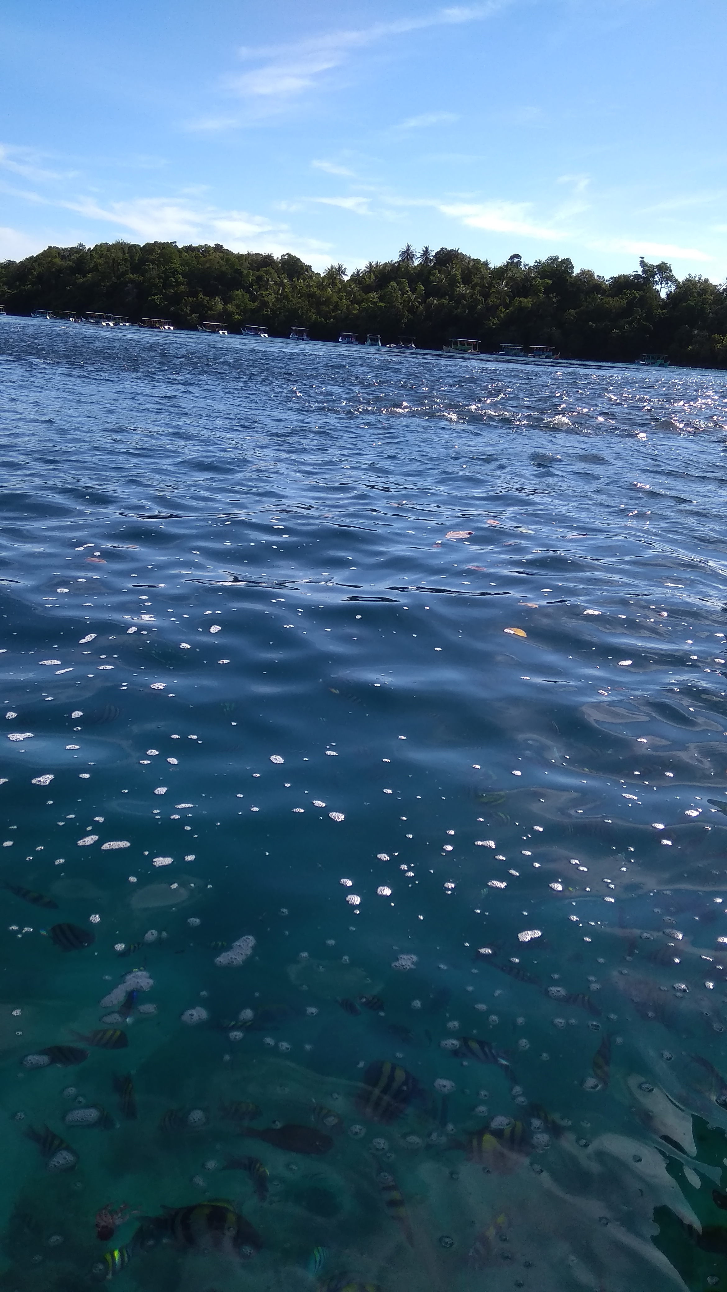 IMG_20190504_090126.jpg
