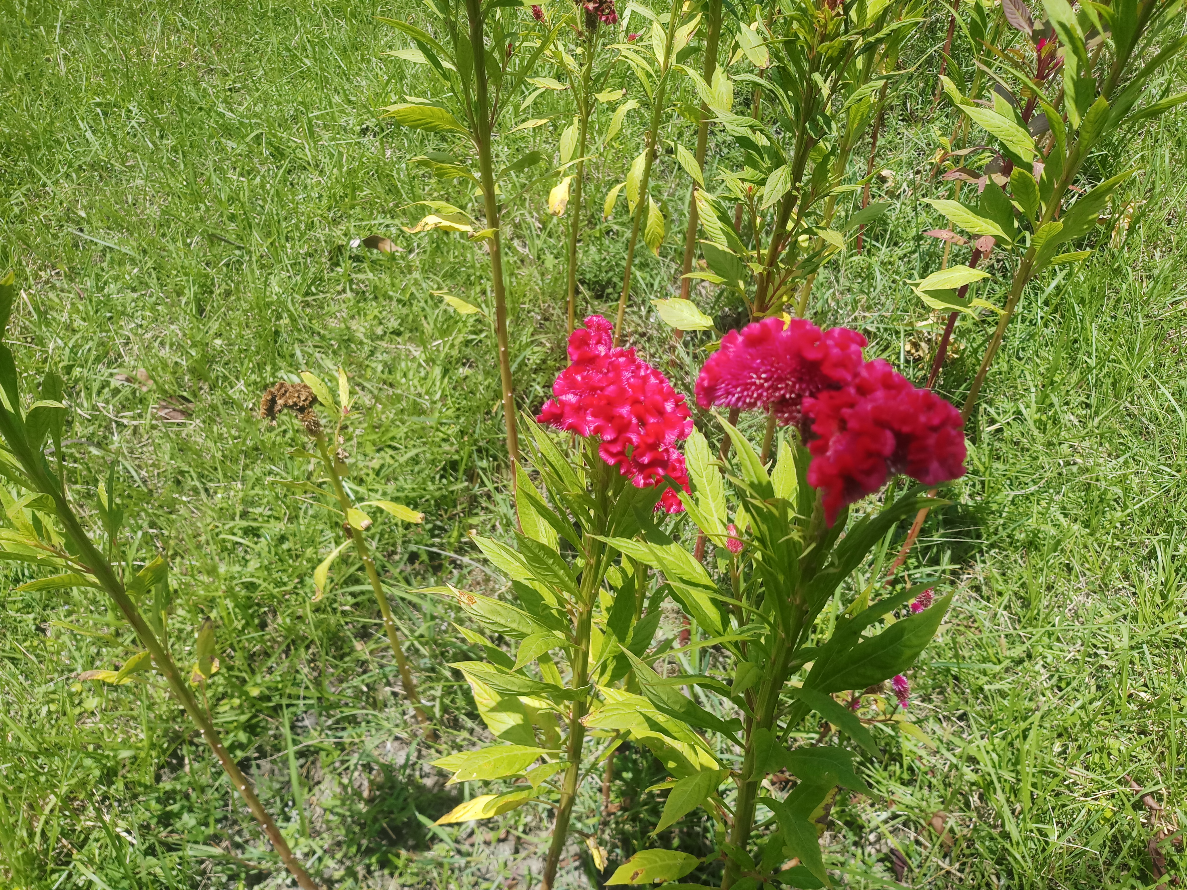 20190806_124610.jpg