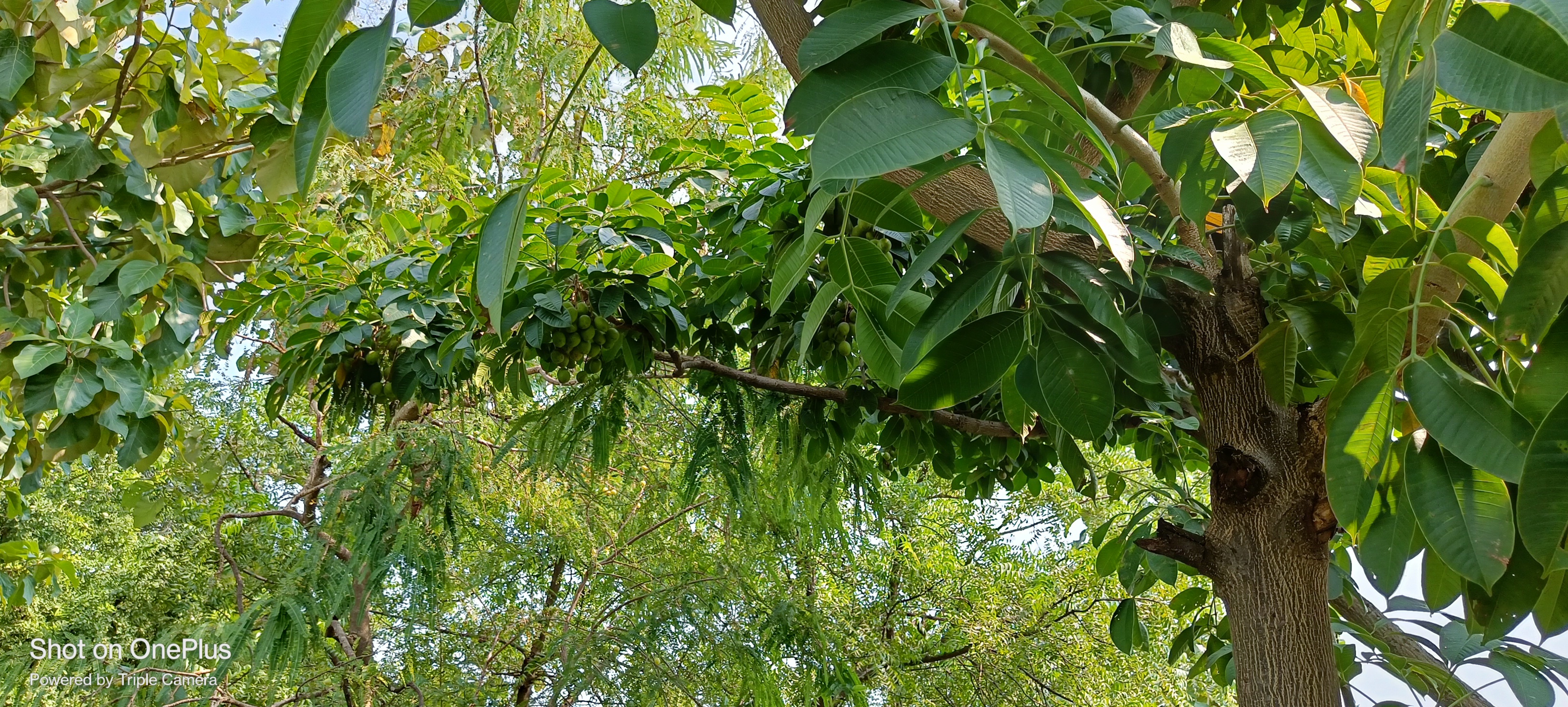 IMG20211012115832.jpg