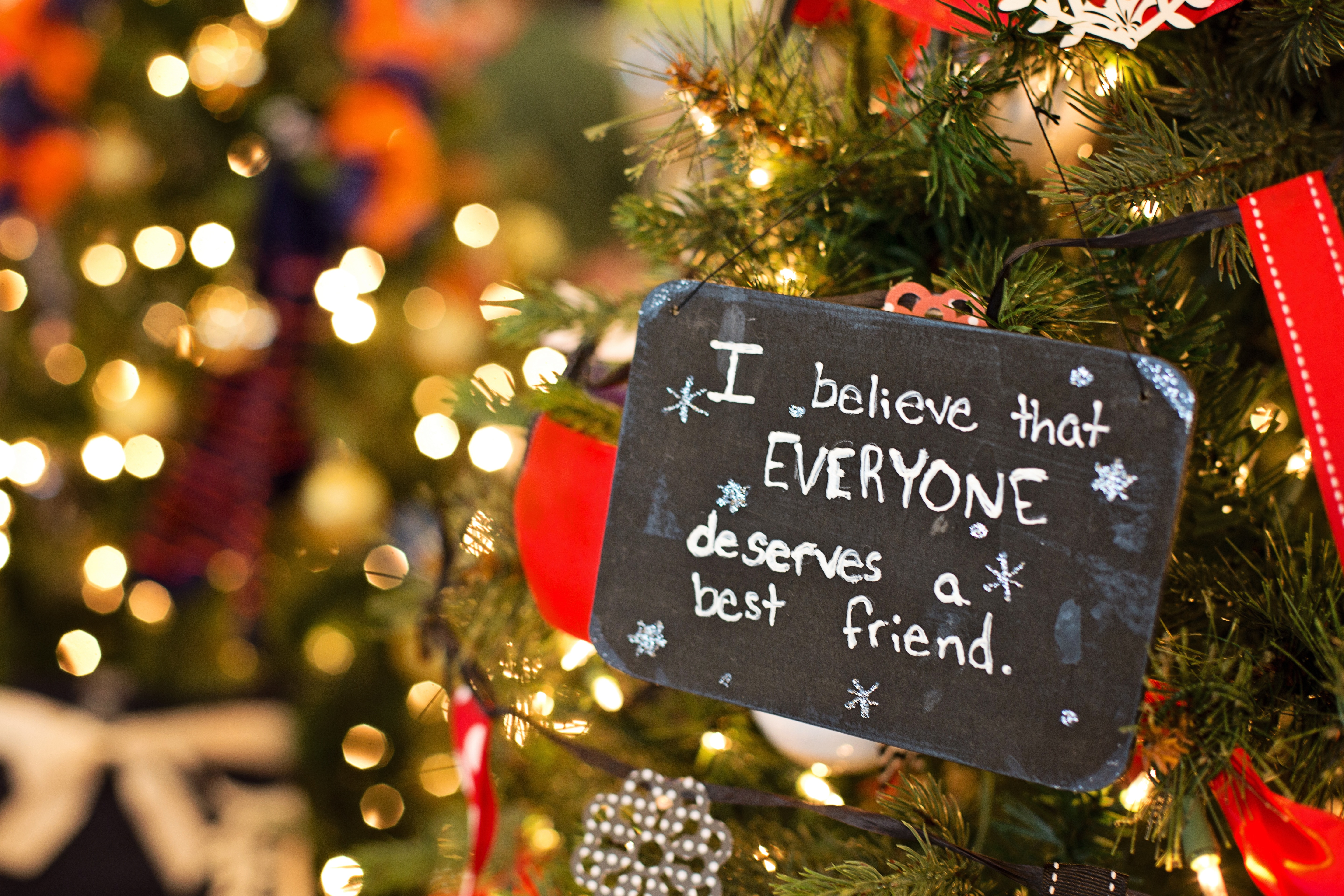xmas.jpg