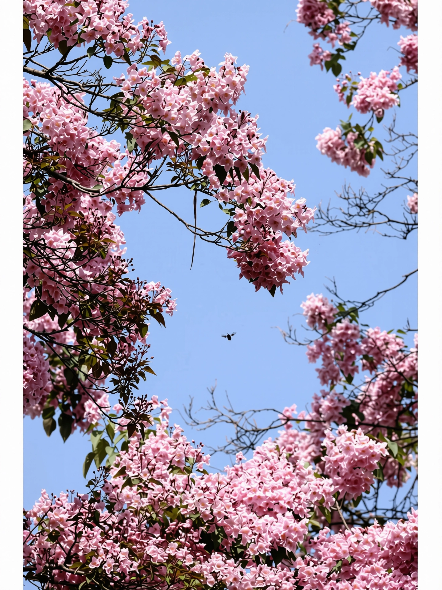 214.webp