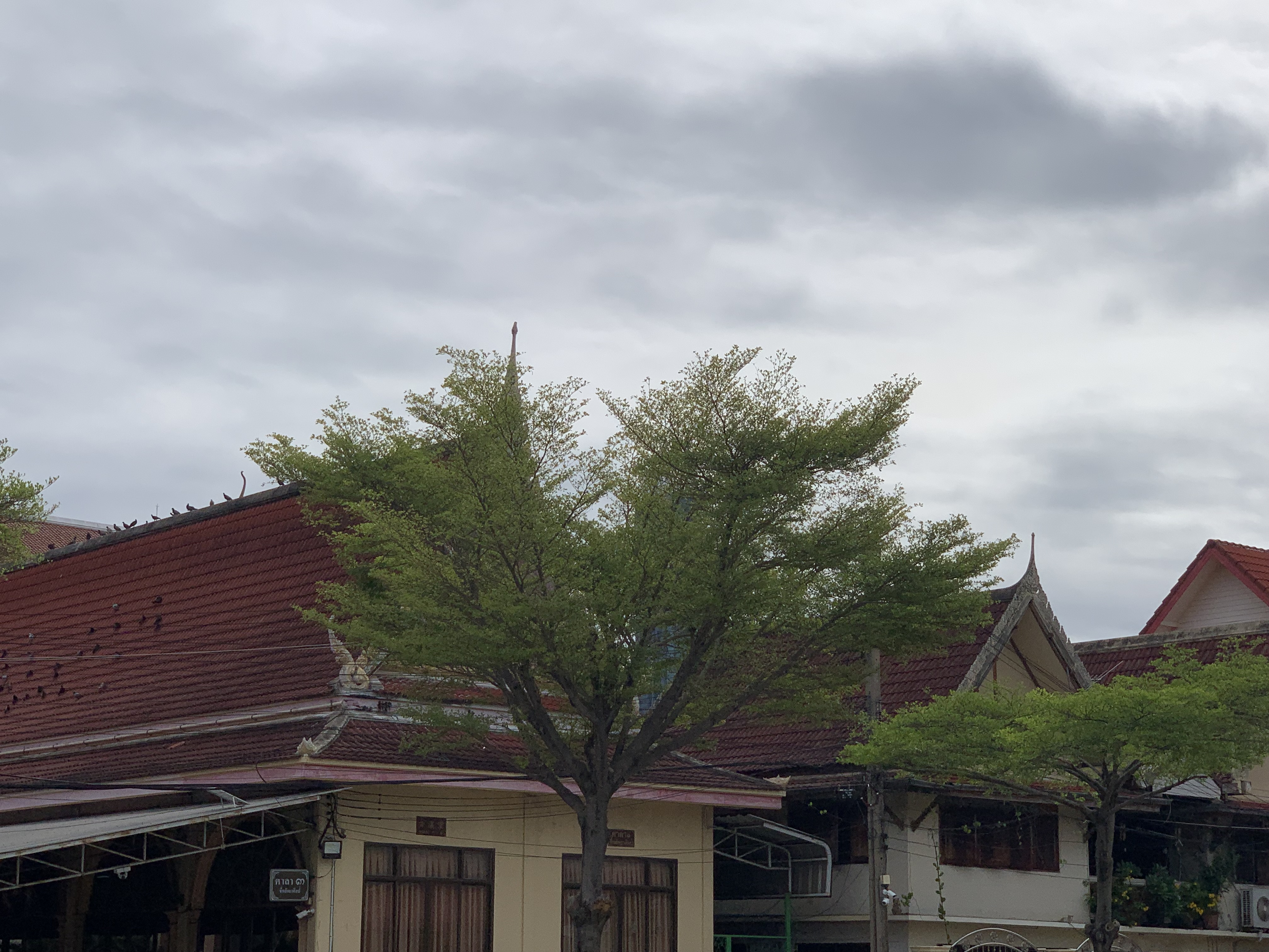 Wat Rat Burana14.jpg