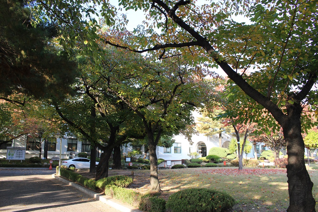 삼청동3.jpg