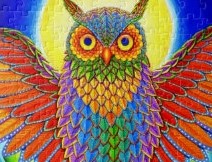 colorful_psychedelic_rainbow_owl_jigsaw_puzzle-rfbb96bc094444bfda2ffcdc6e008151d_amb0f_8byvr_307 (2).jpg