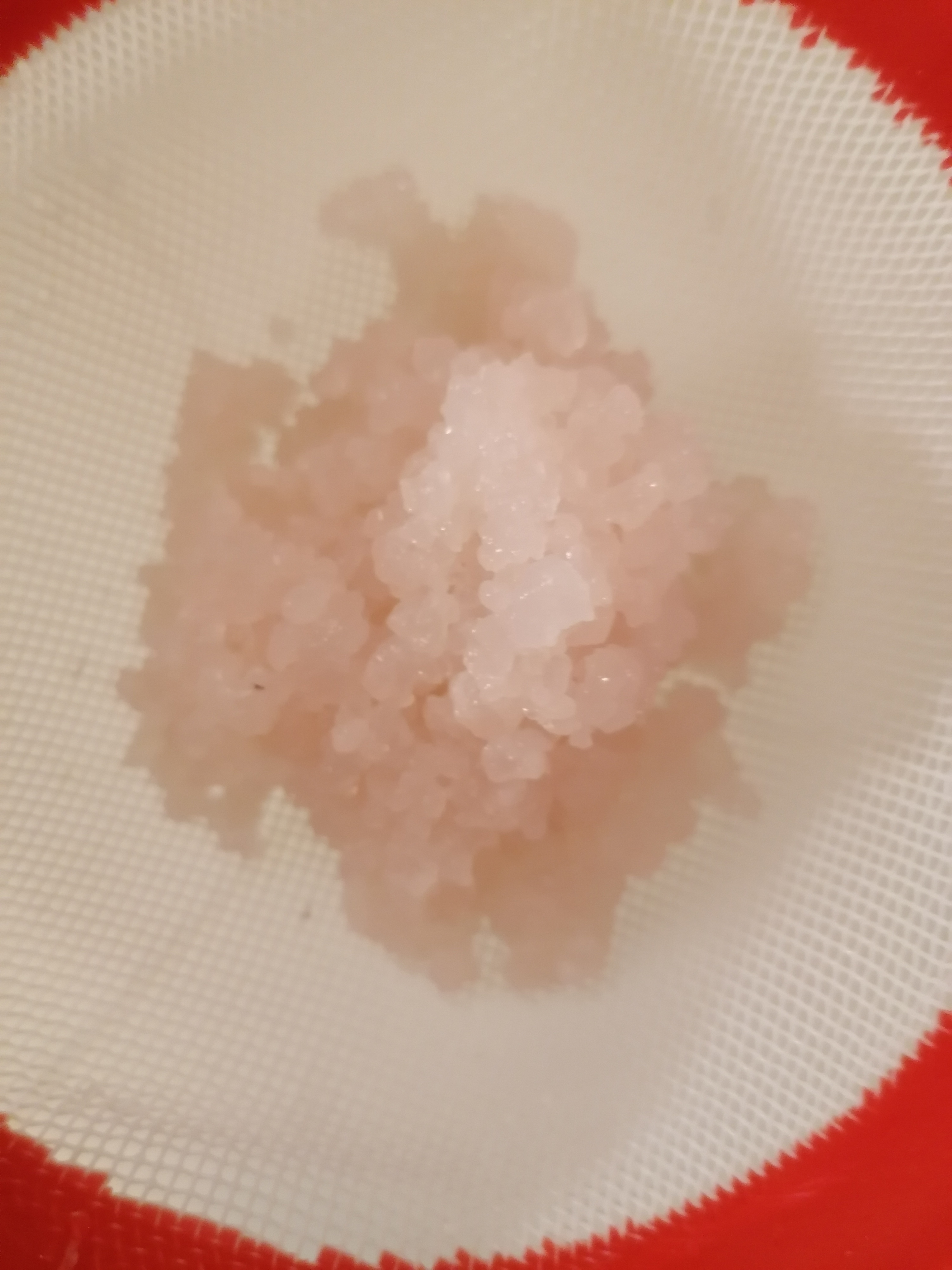 Ich habe online einen Wasserkefir gekauft   I bought a water kefir online