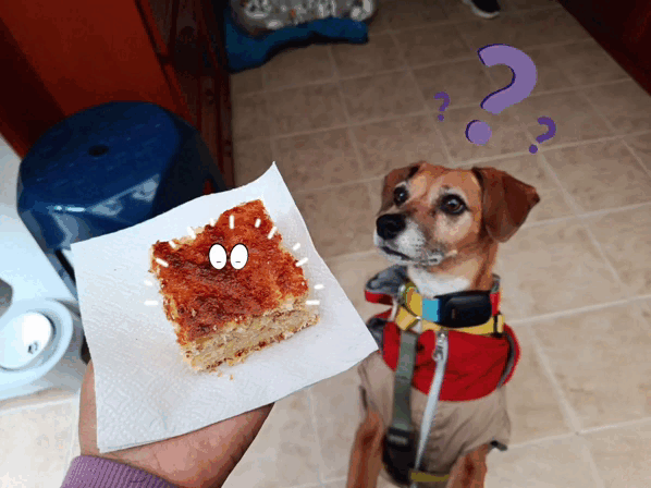 112982.gif