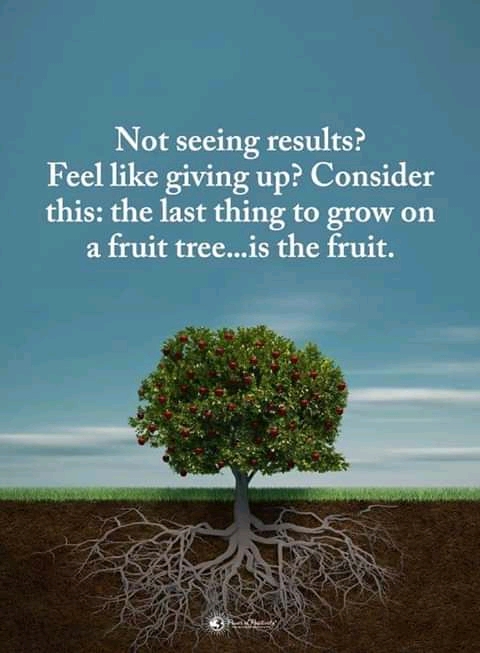 FB_IMG_15641716730127467.jpg