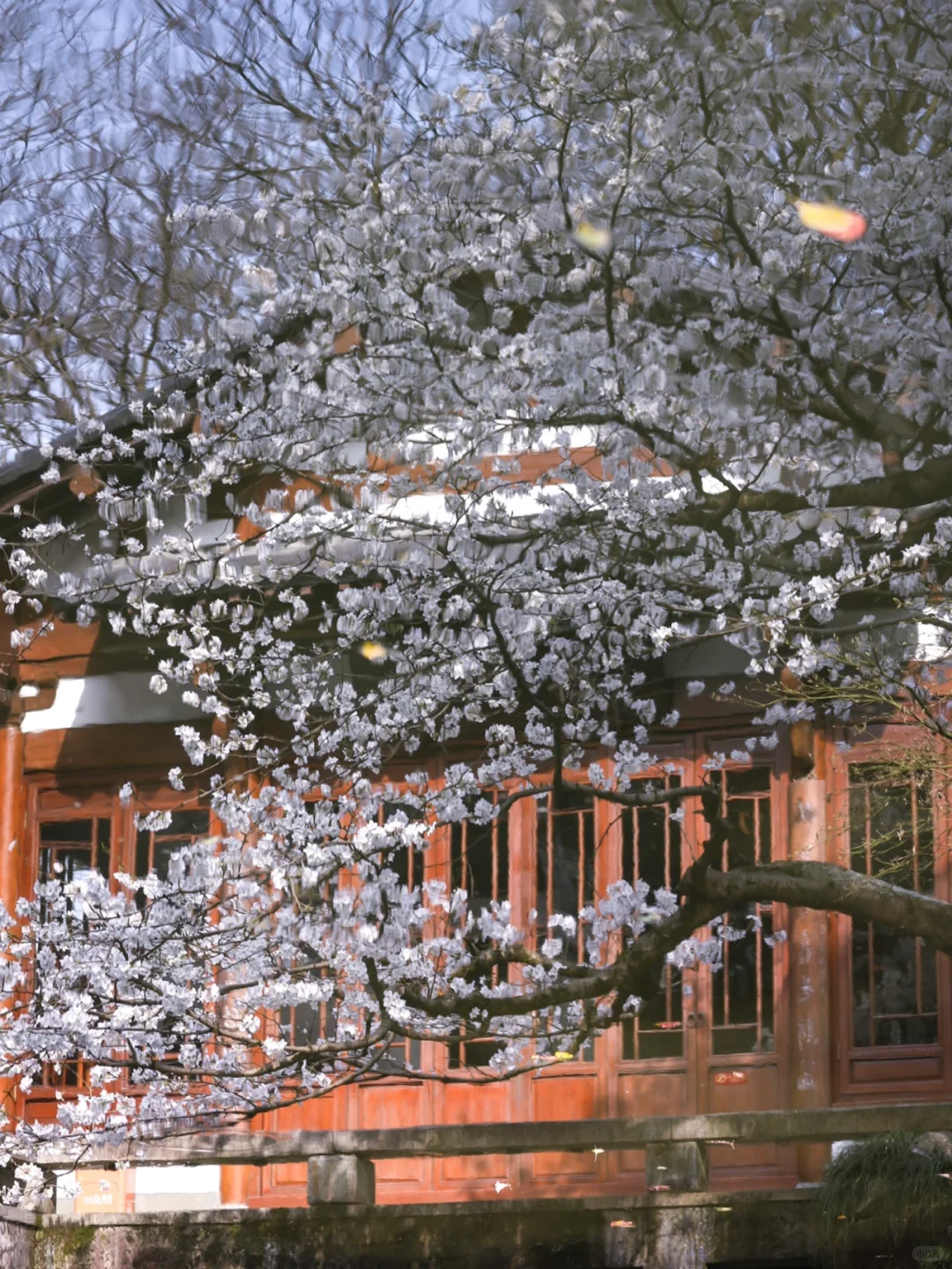 148.webp