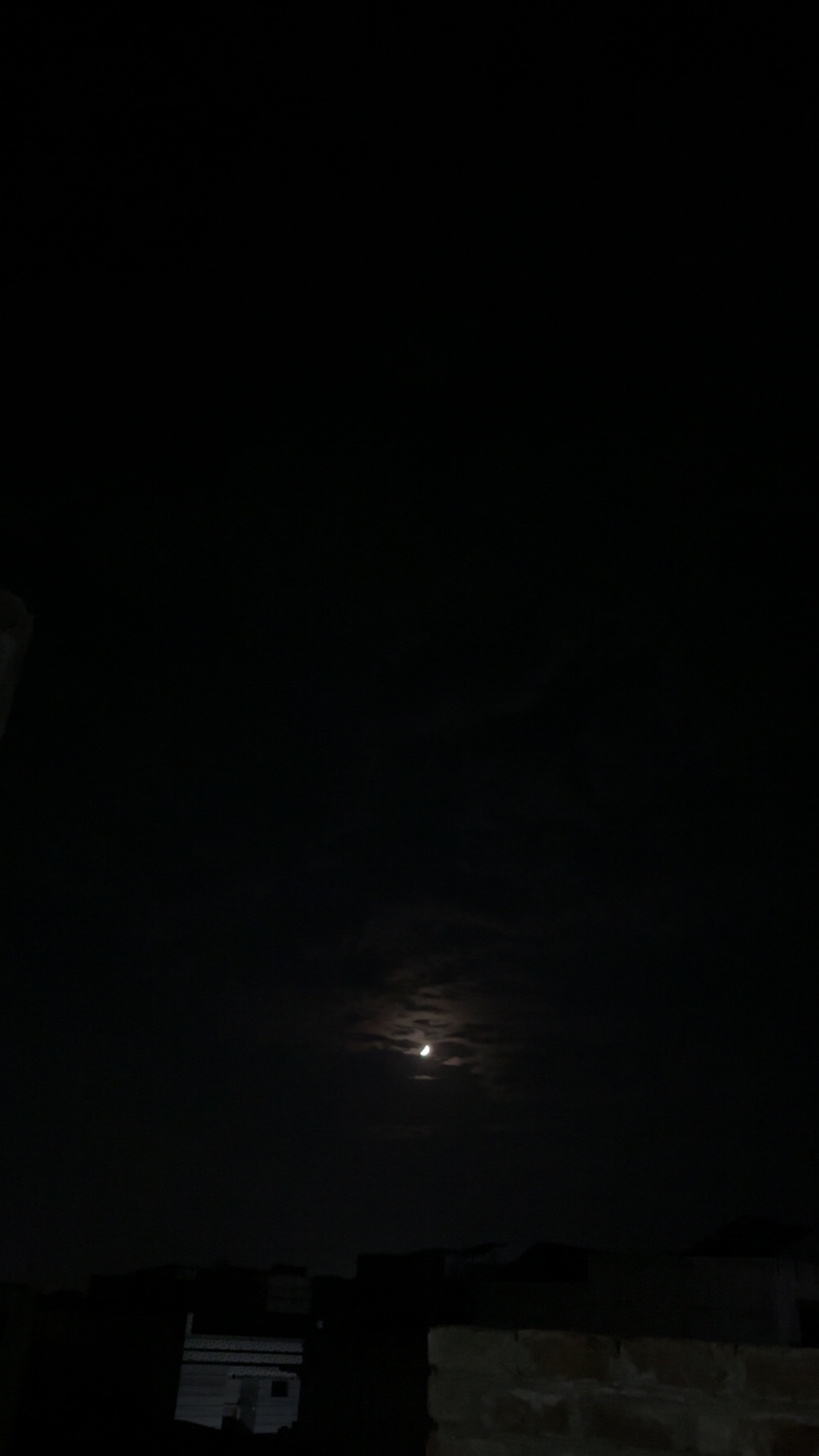 IMG_6948.jpeg