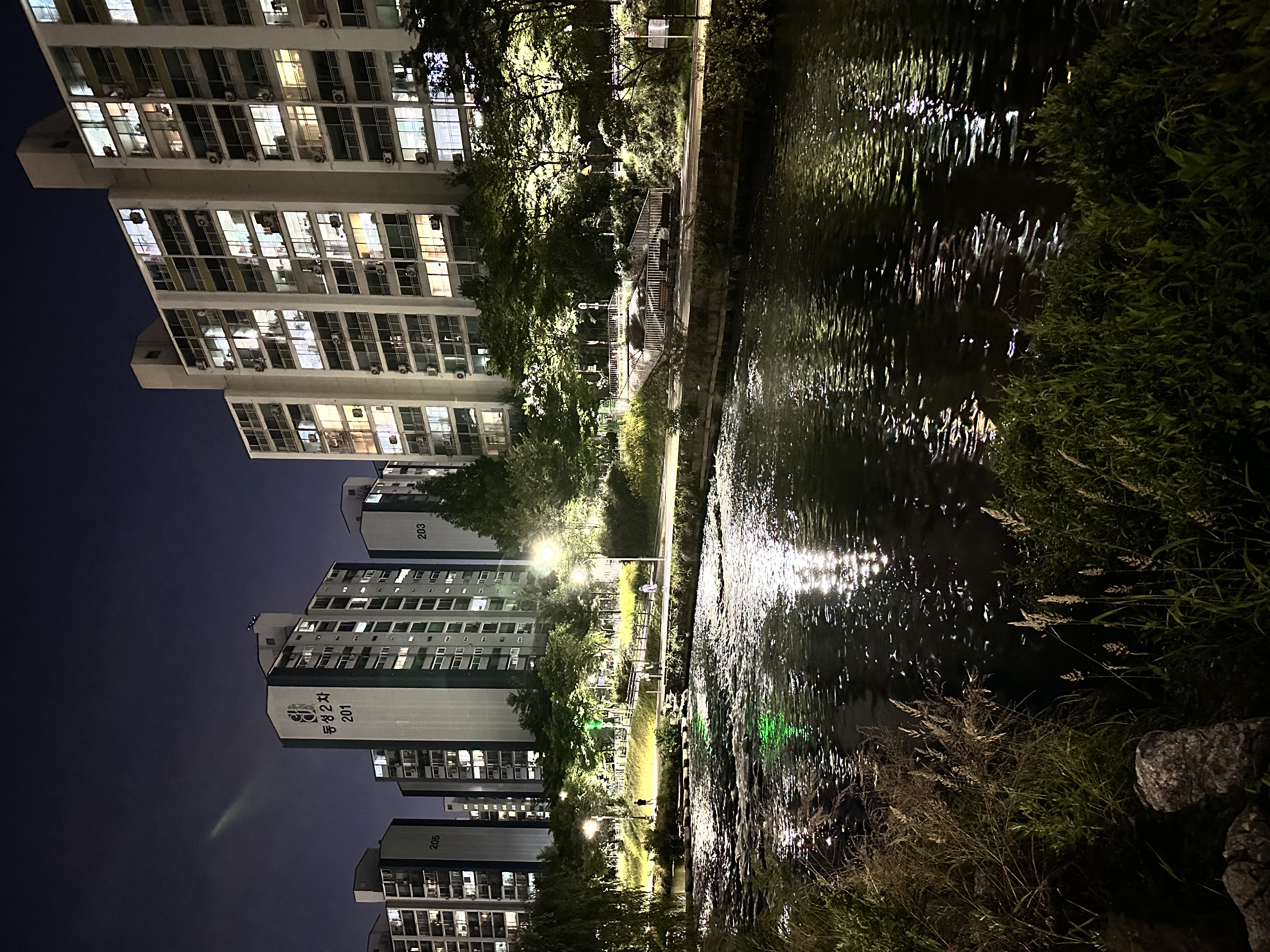 IMG_8137.jpeg