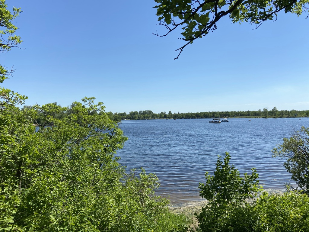 E7772787-D44C-4D11-9A3E-67C19A31D70A_1_105_c.jpeg