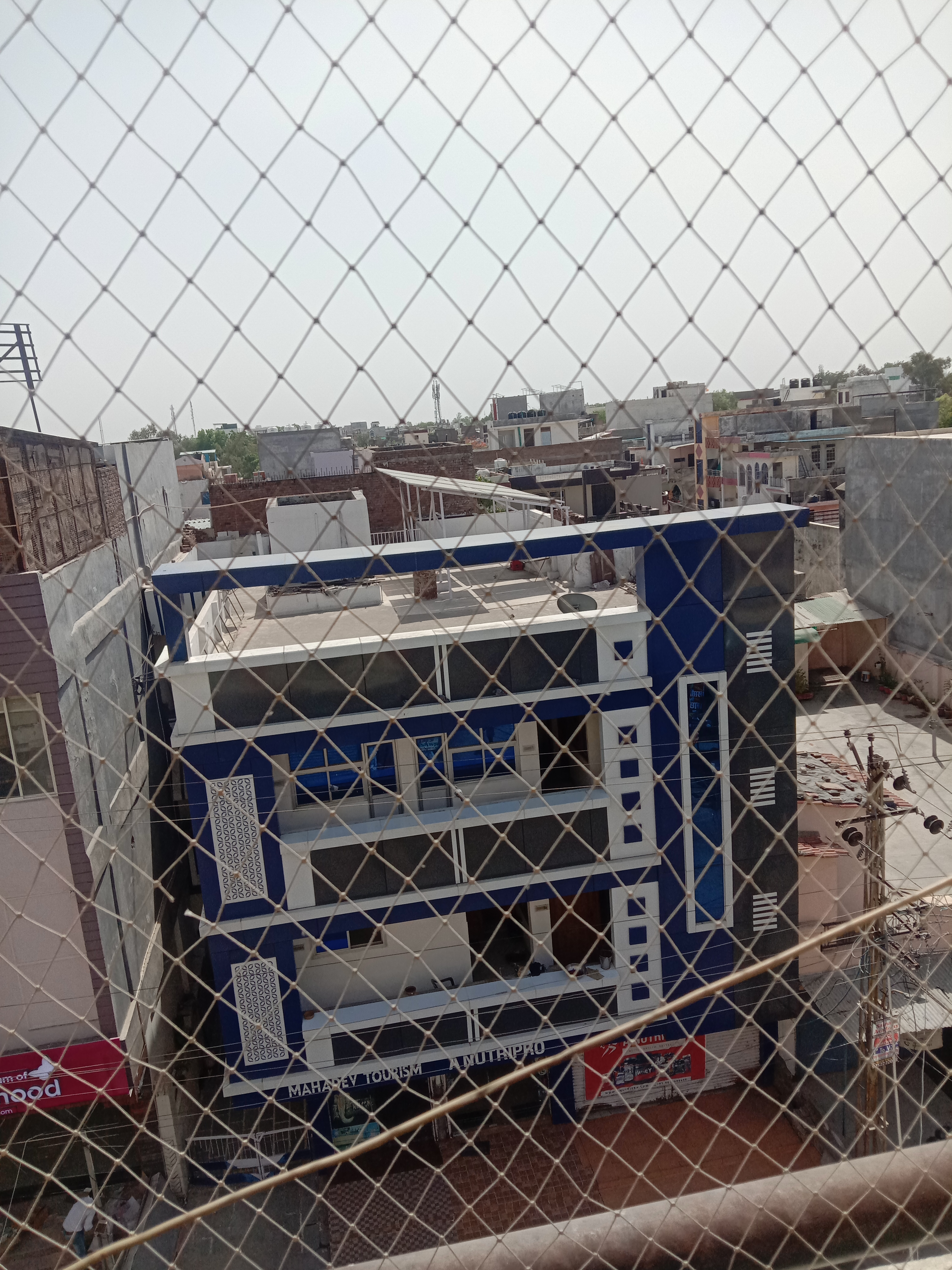 IMG_20220427_100309.jpg