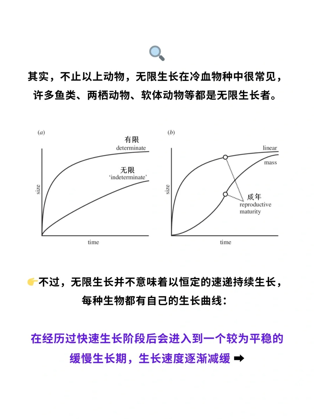 科普一分钟_你知道这些动物会“无限长大”吗❓_5.jpg