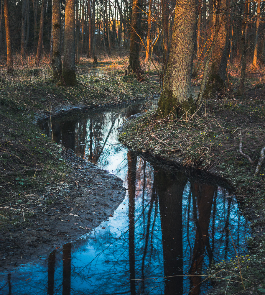 _MG_5196-Pano-2.jpg