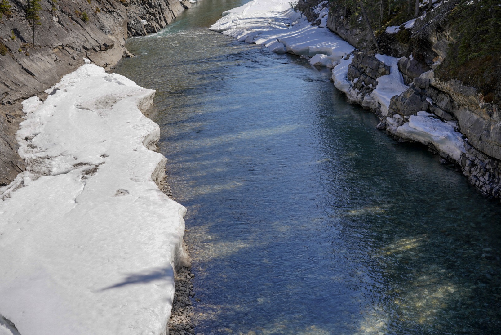 7040113C-C0E6-4A6D-9054-3F6C067FD8F9.jpeg