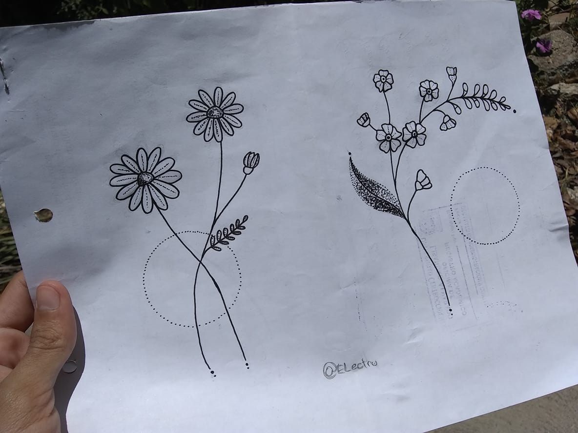 Flowers 2 (2).jpg
