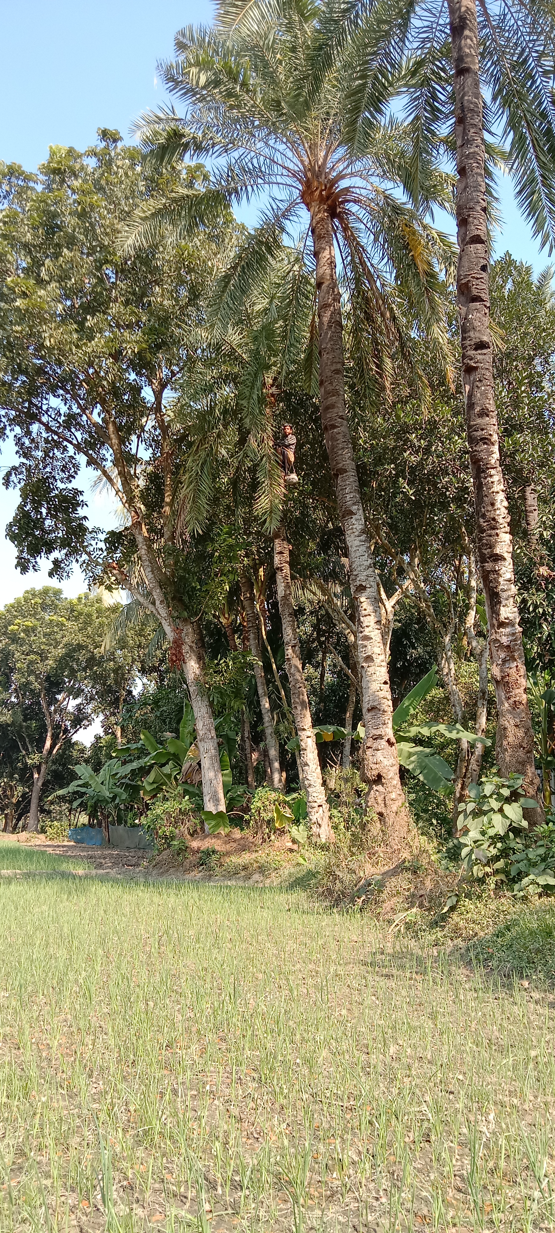 IMG_20211201_115943.jpg