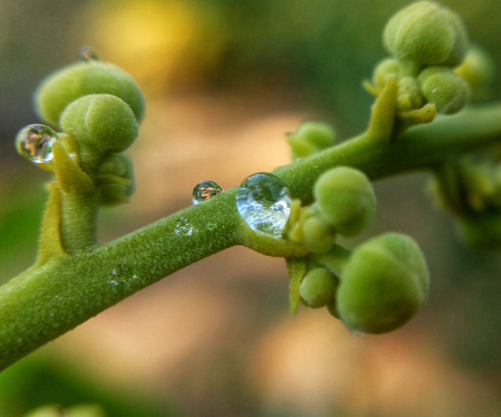 WhatsApp Image 2020-03-18 at 18.00.36 (1).jpeg