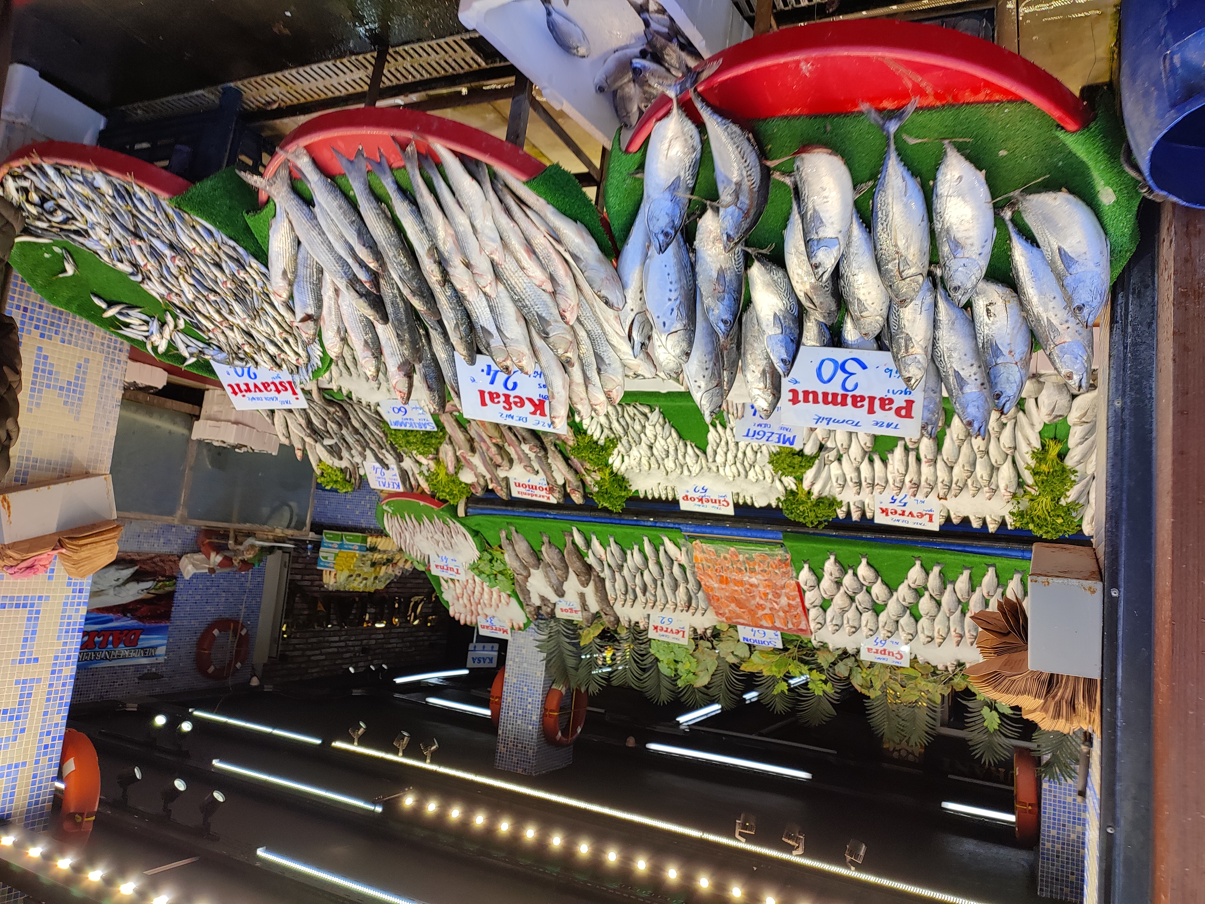 IMG_20211122_131254.jpg