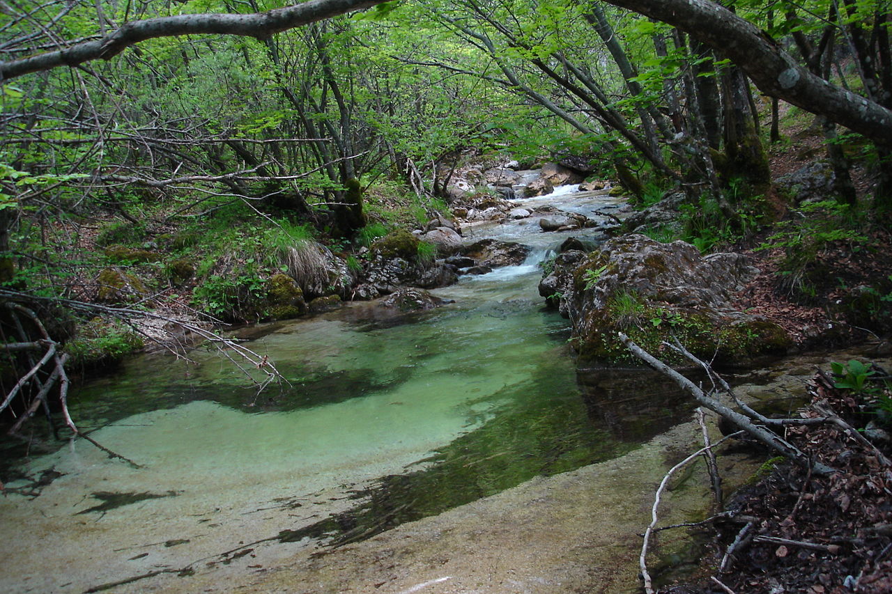 8.-Italian-Biodiversity-Camosciara.jpg