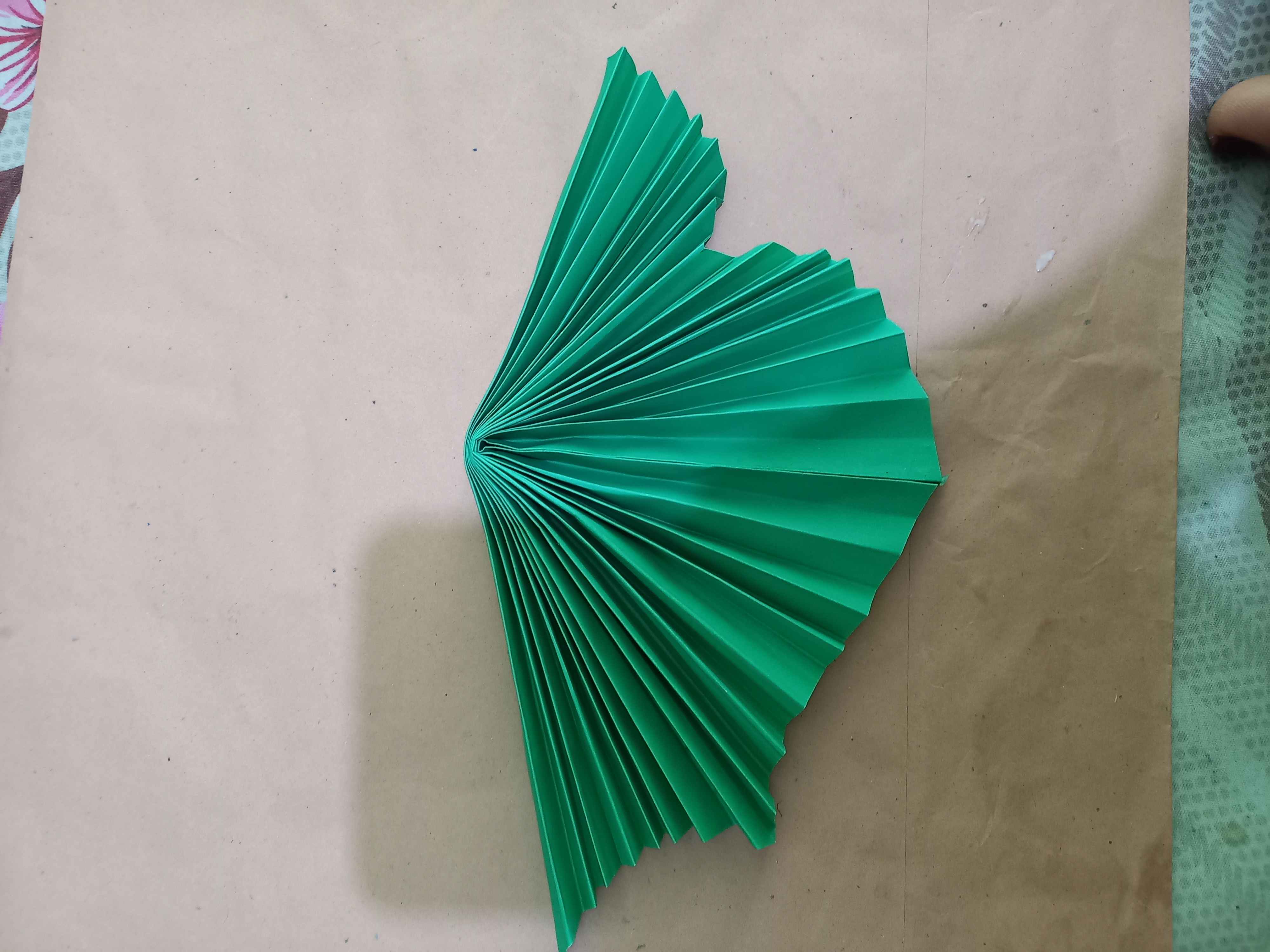 20220126_112043.jpg