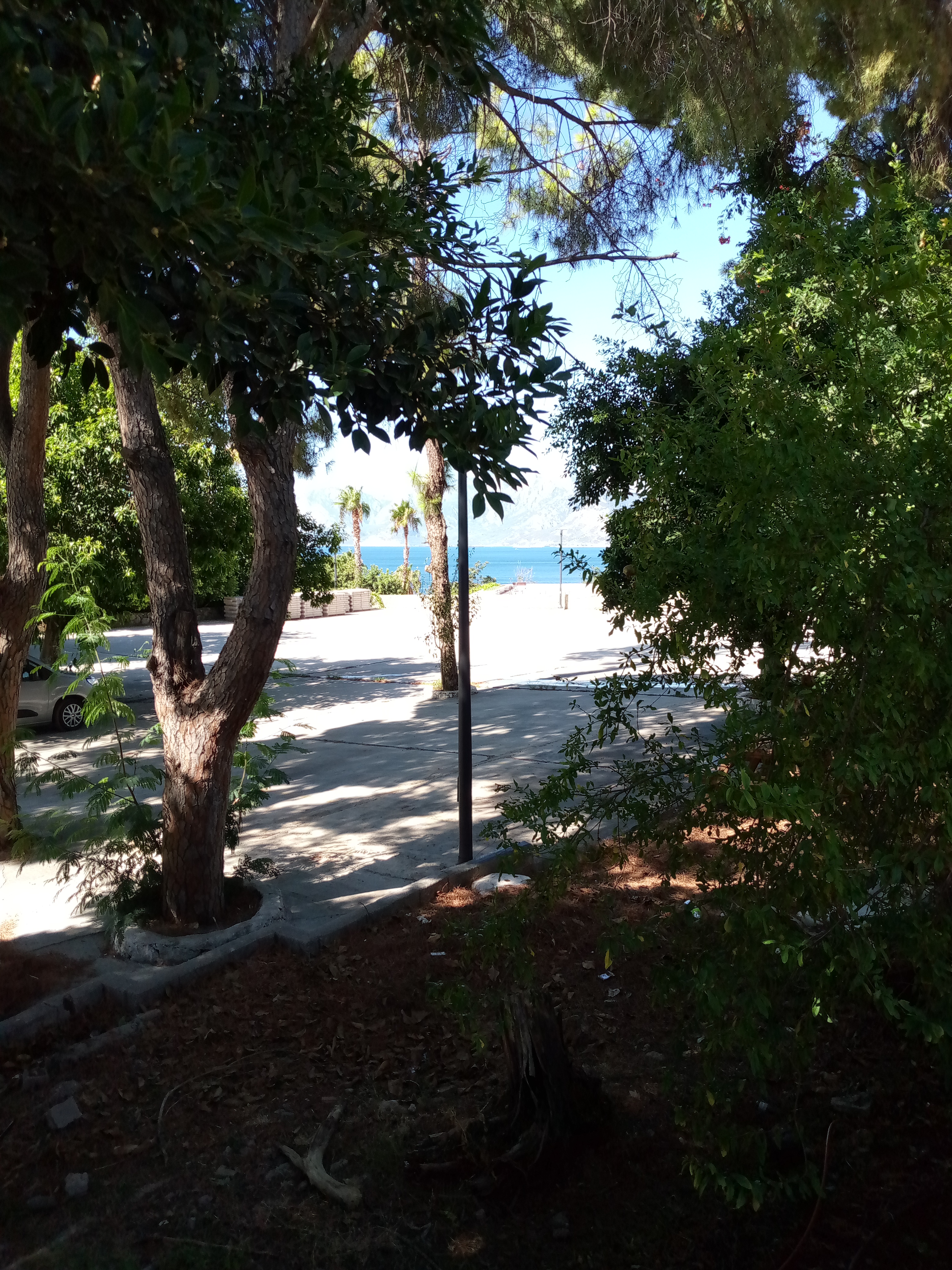 IMG_20260726_100156_237.jpg