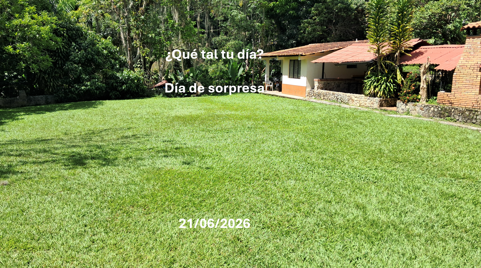 Screenshot 2026-06-23 212857.png