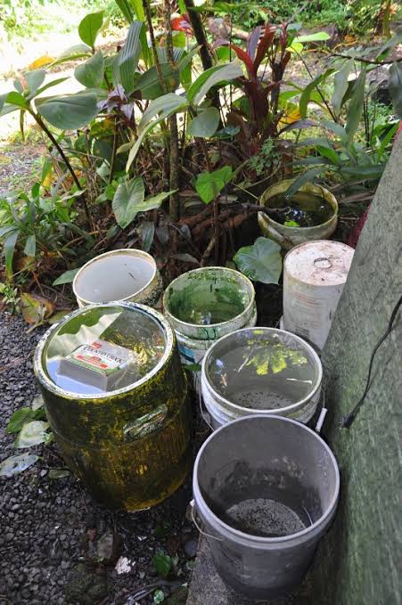 images(99).jpg