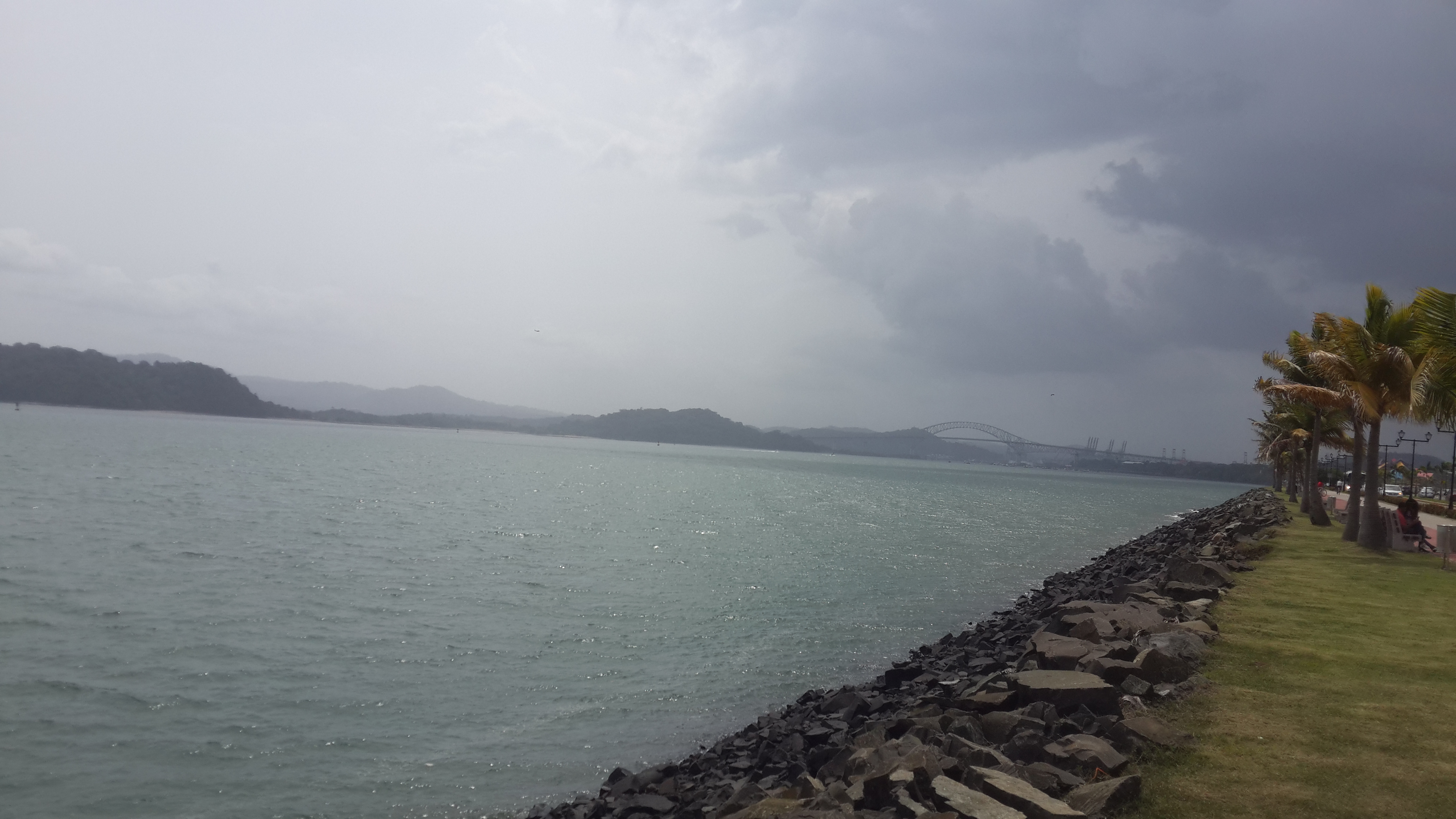 20190721_150923.jpg