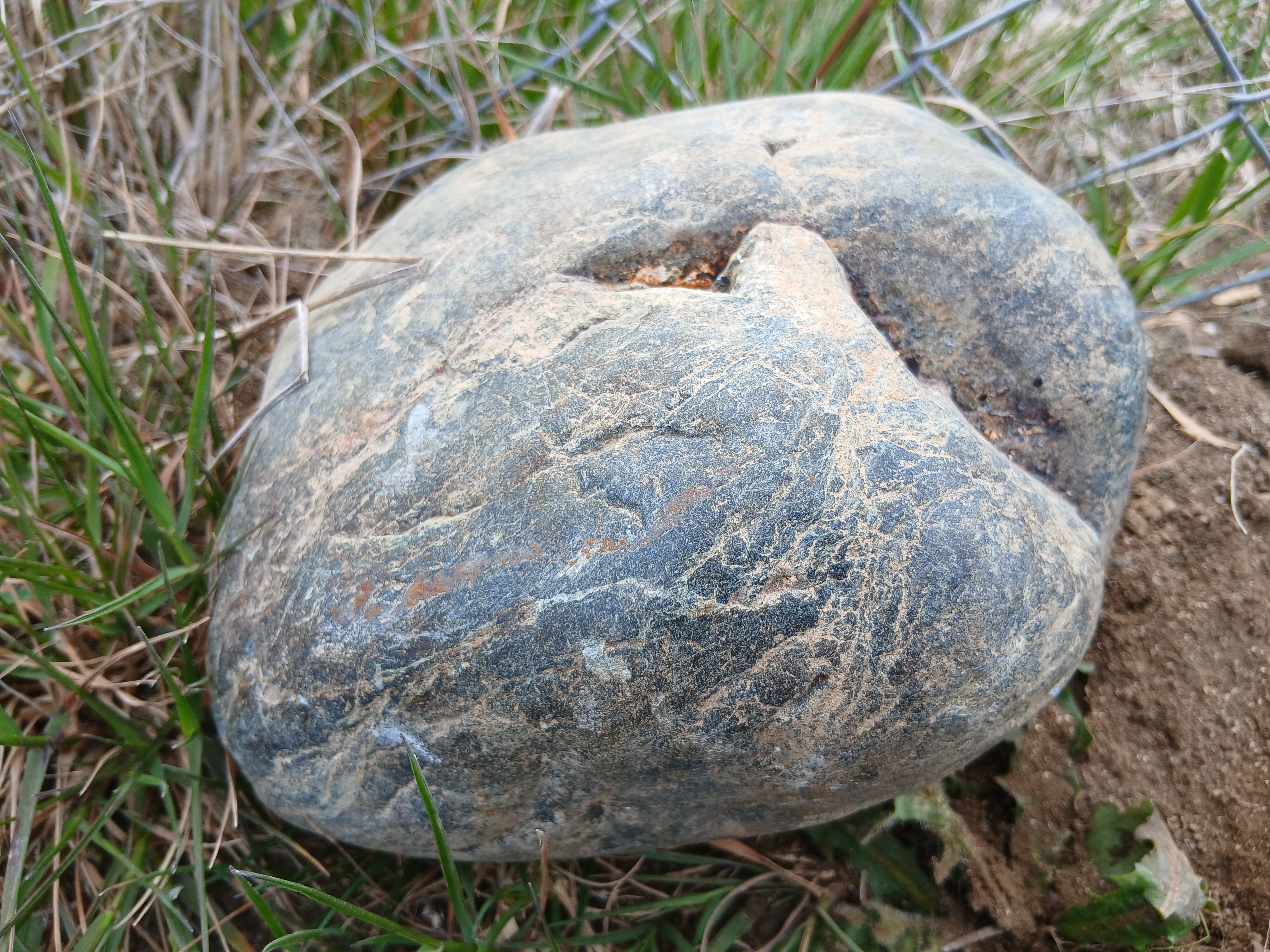 1000210441.jpg
