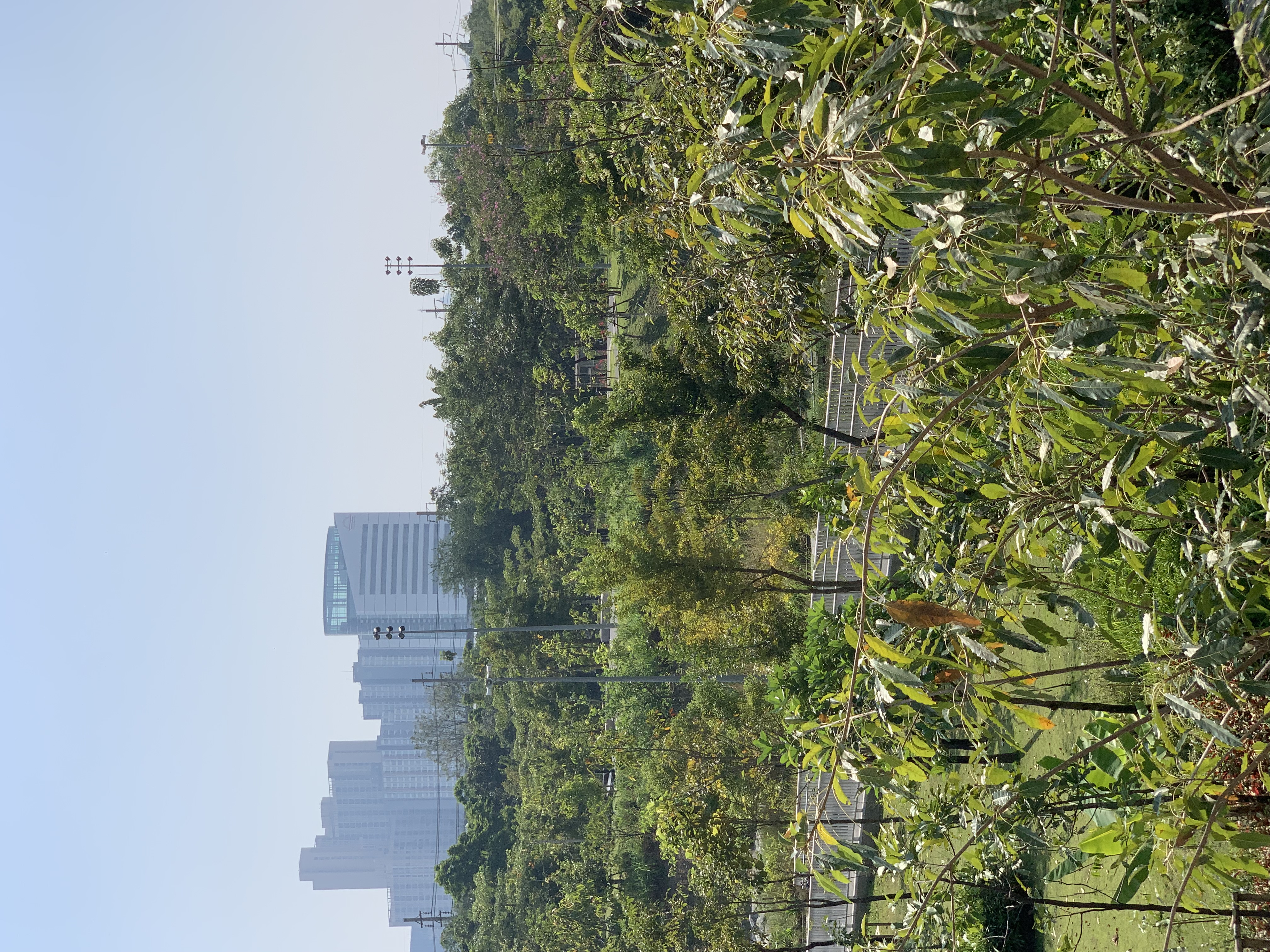 Queen Sirikit Park23.jpg