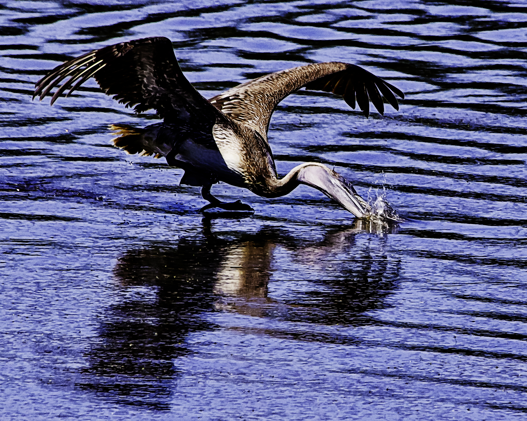 Splashdown2 (2018_06_24 03_13_06 UTC).jpg