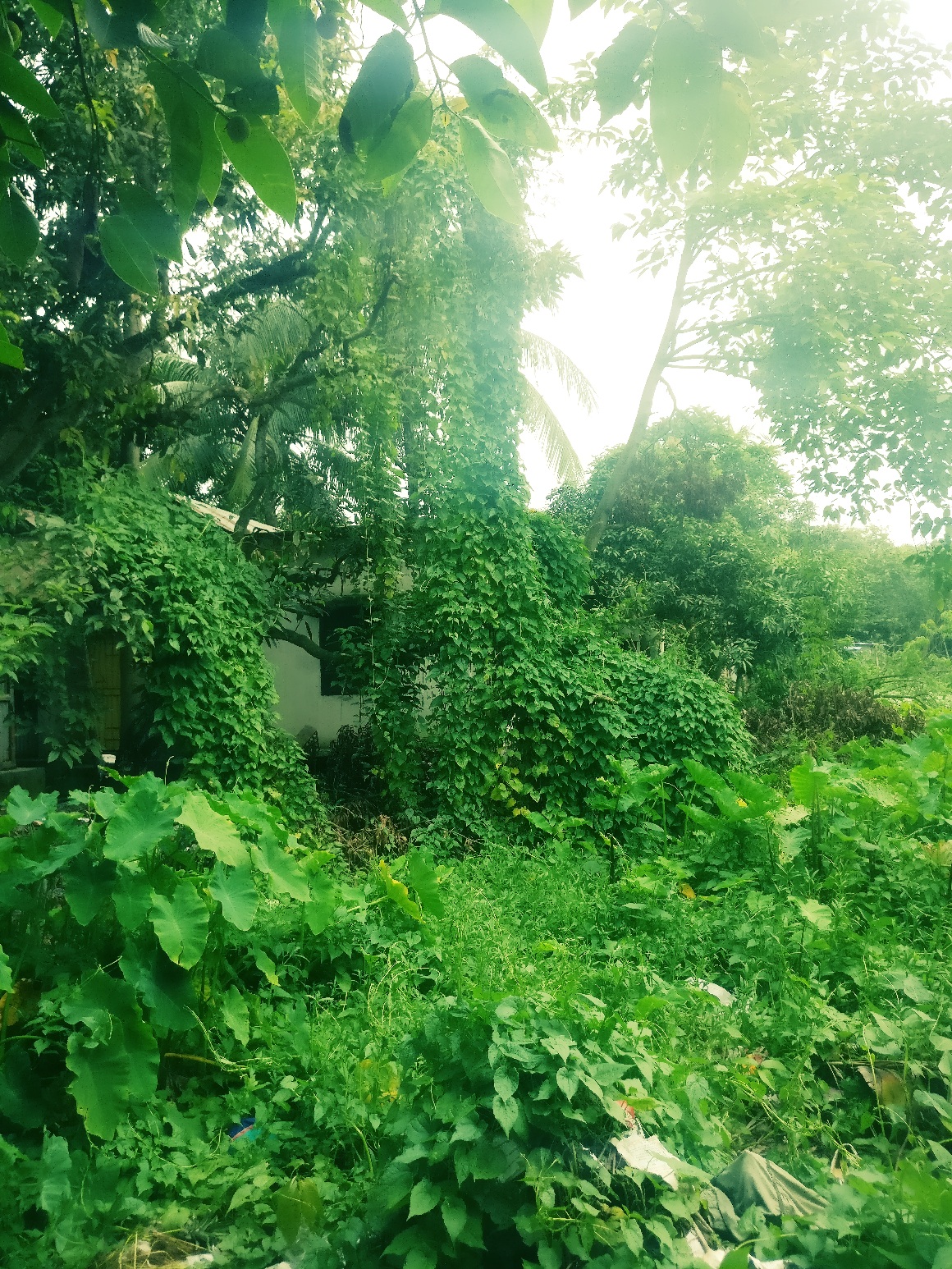 2018-06-14-17-26-48-579.jpg