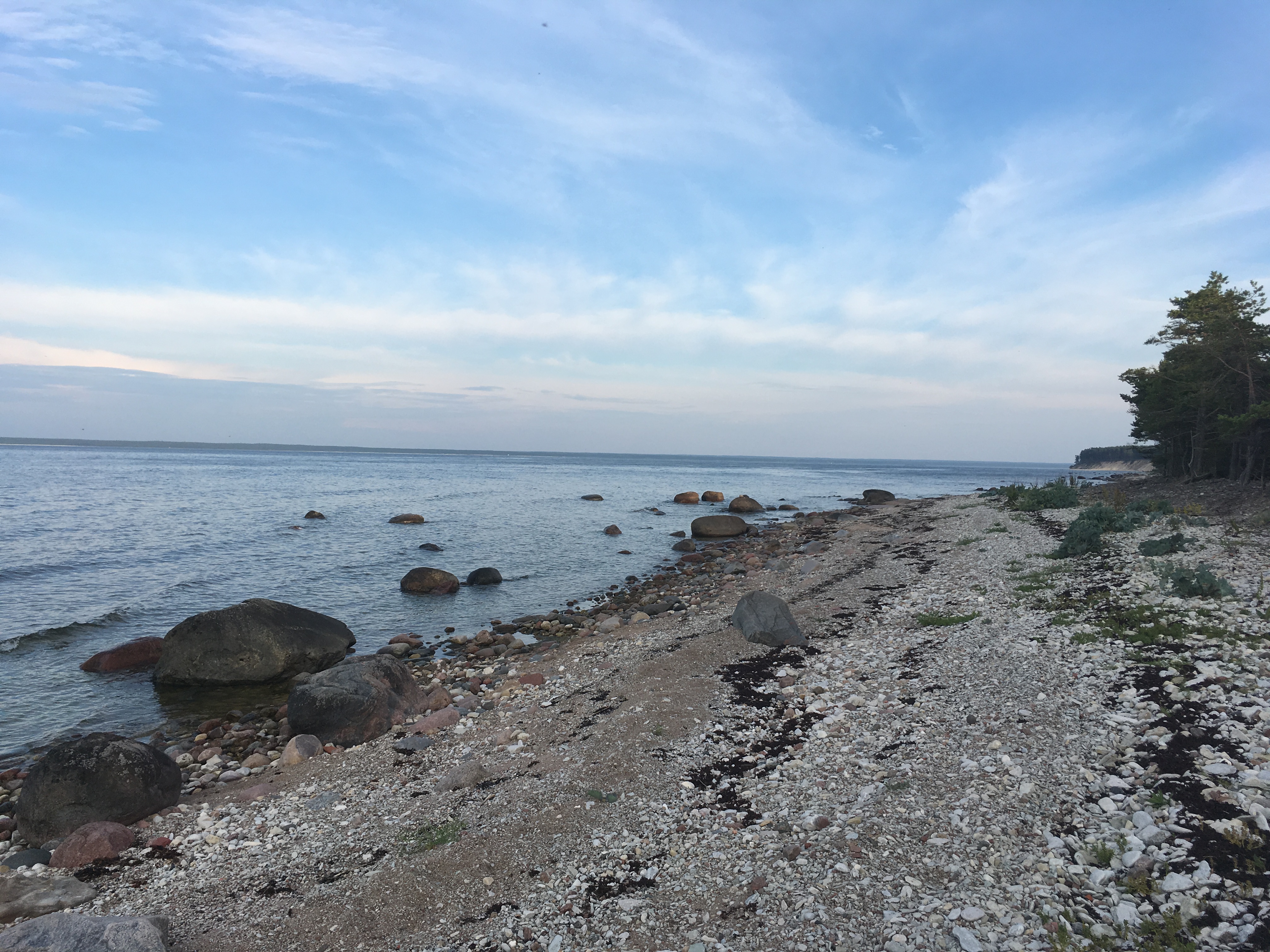 EE7E5C03-A808-4FF1-B27E-23AAB08D5BD9.jpeg