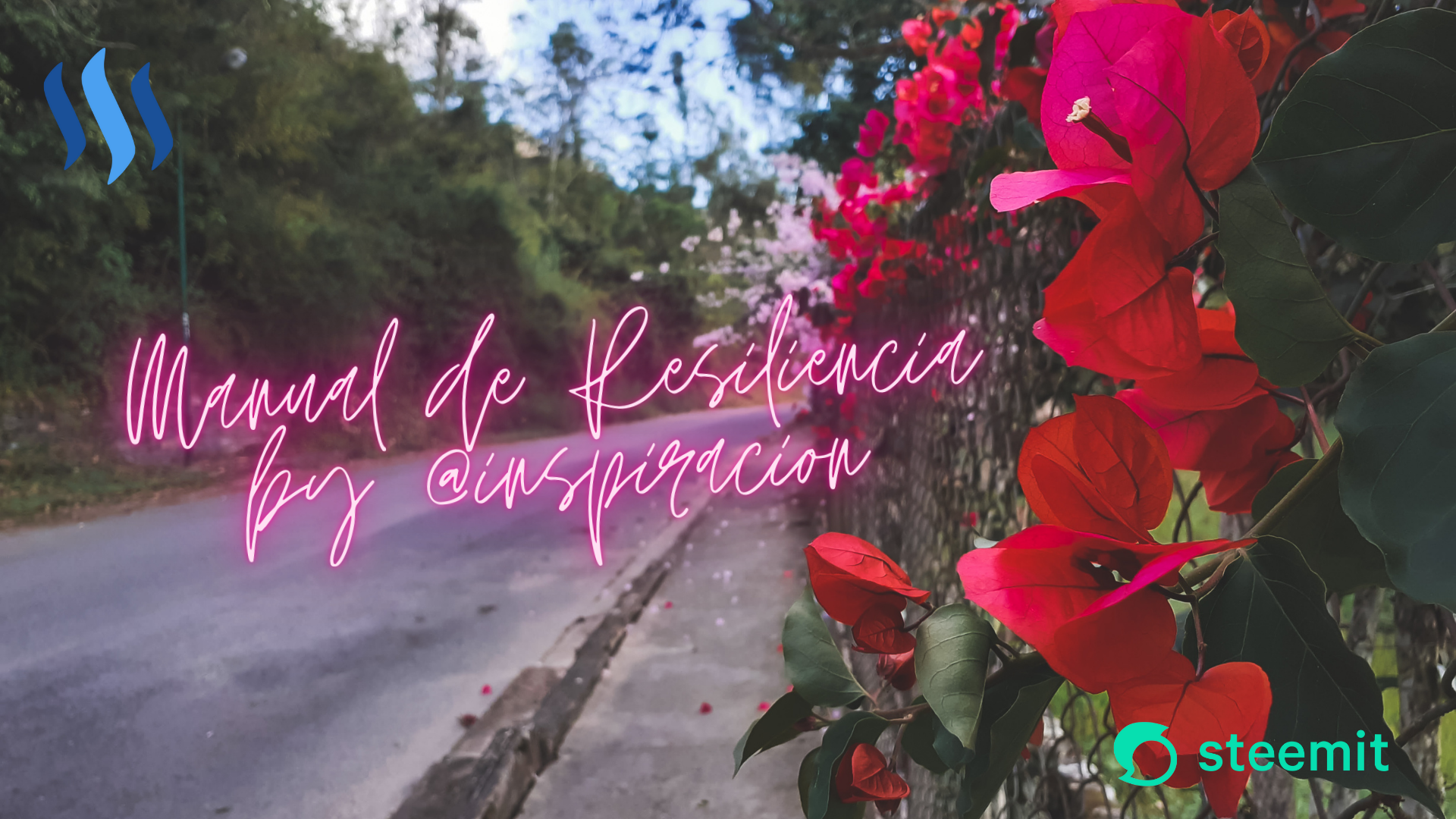 MANUAL DE RESILIENCIA by @inspiracion.png