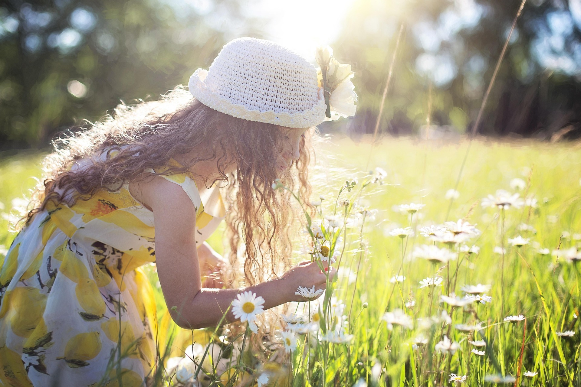 jillwellington-picking-flowers-2432972_1920.jpg