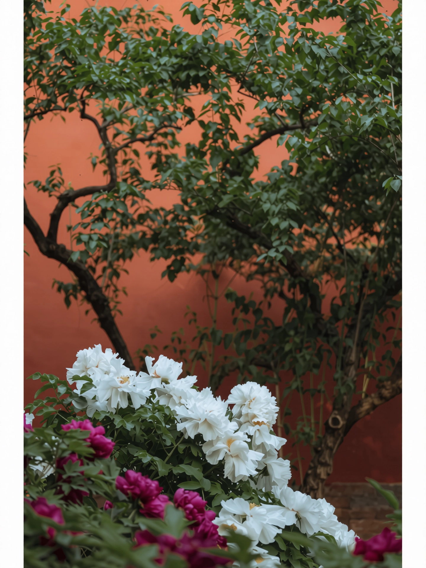224.webp