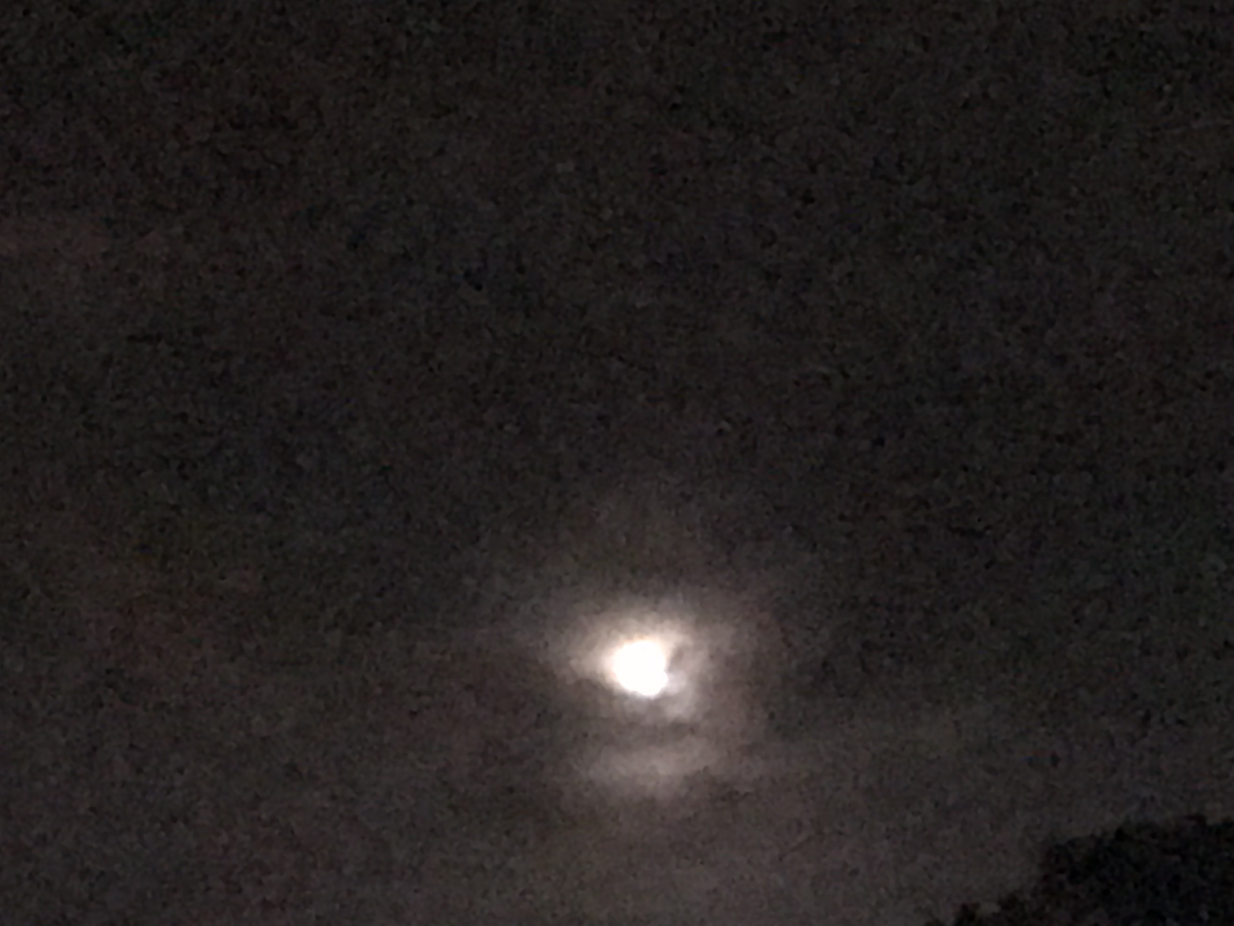B96F3137-2418-4F2A-93AB-52883414DF81.jpeg