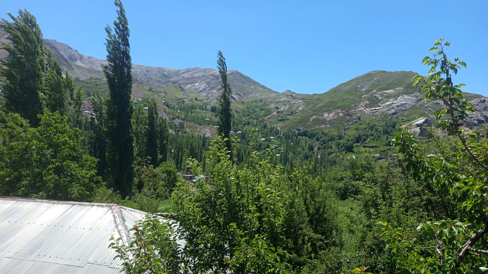 IMG-20260608-WA0084.jpg