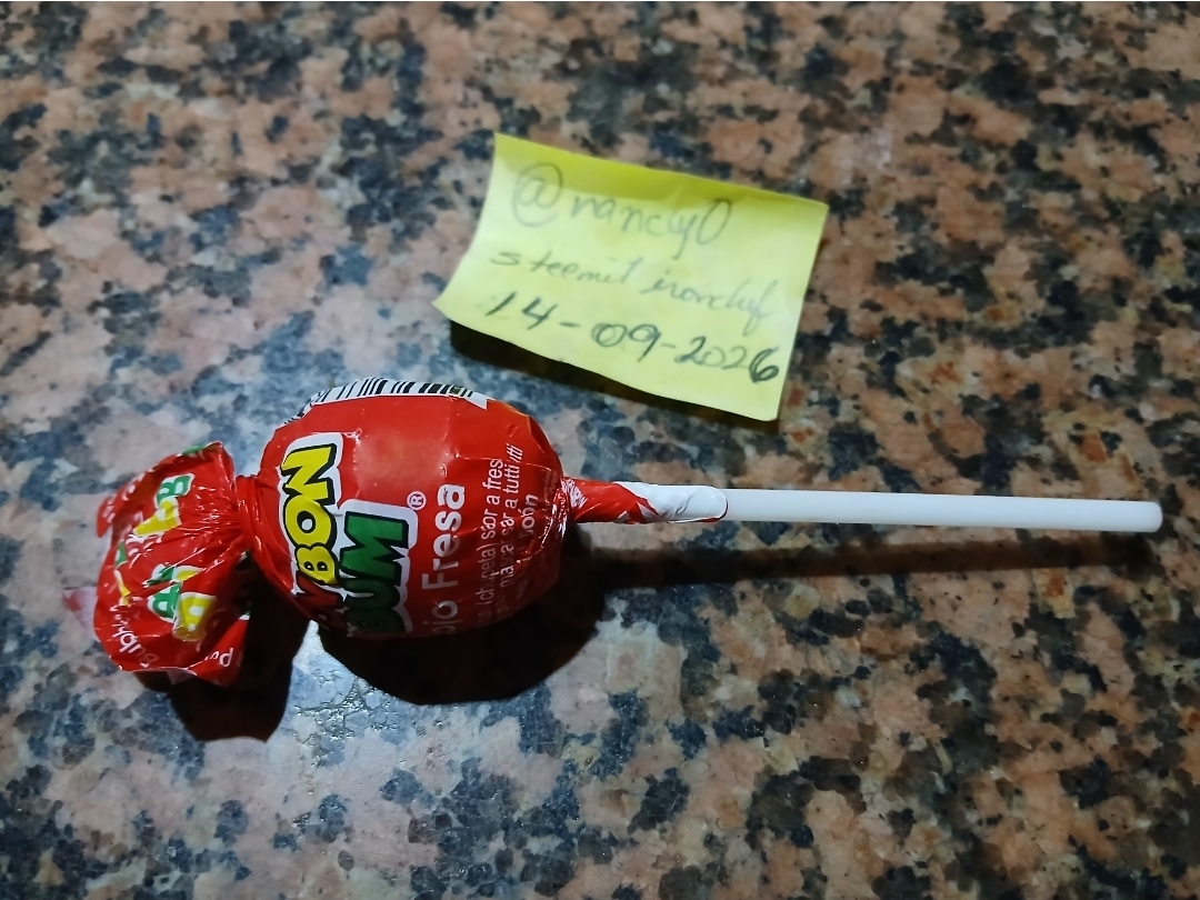 308168.jpg