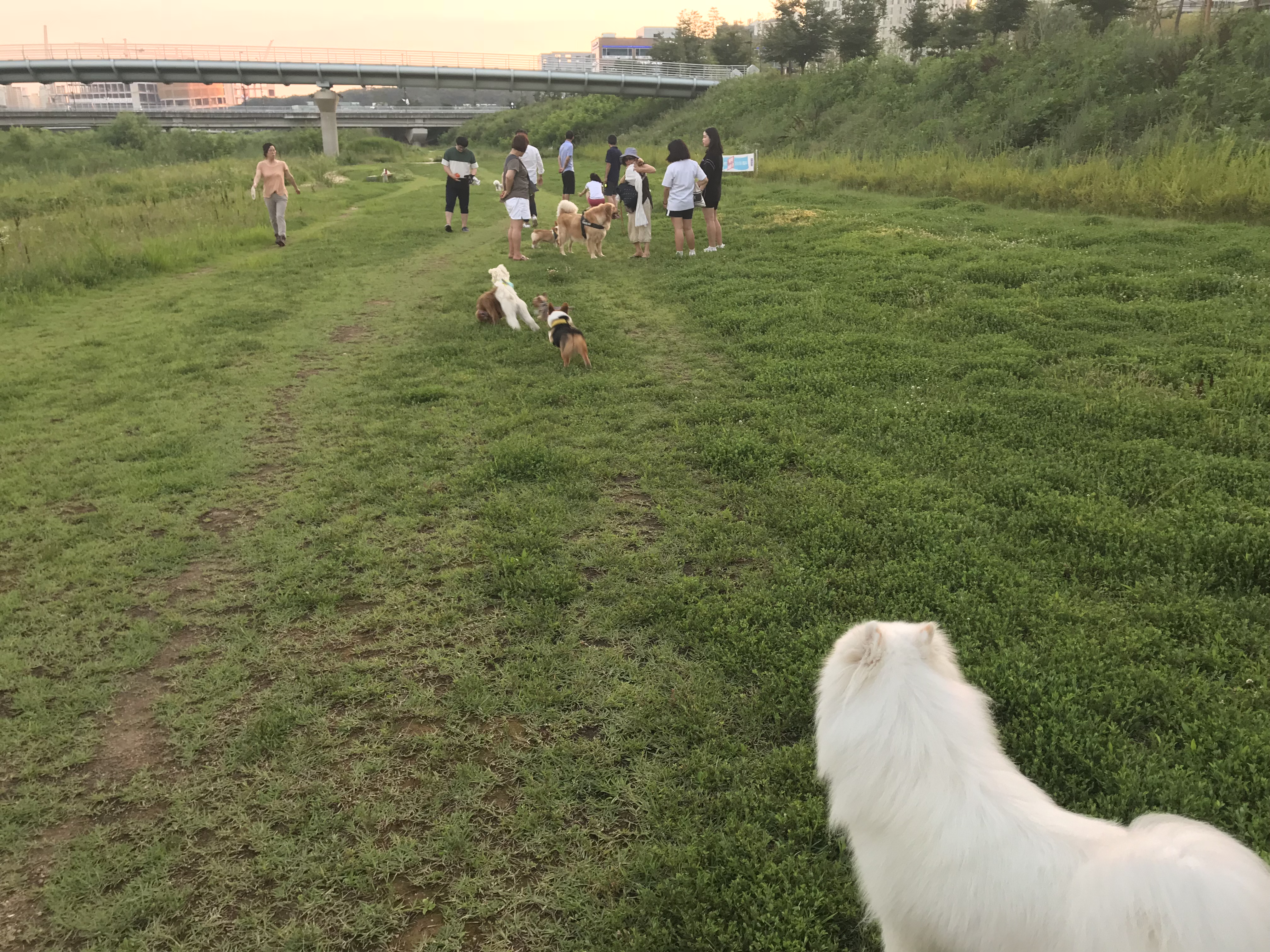 B581030E-6759-448D-8C97-E06442F88E3E.jpeg