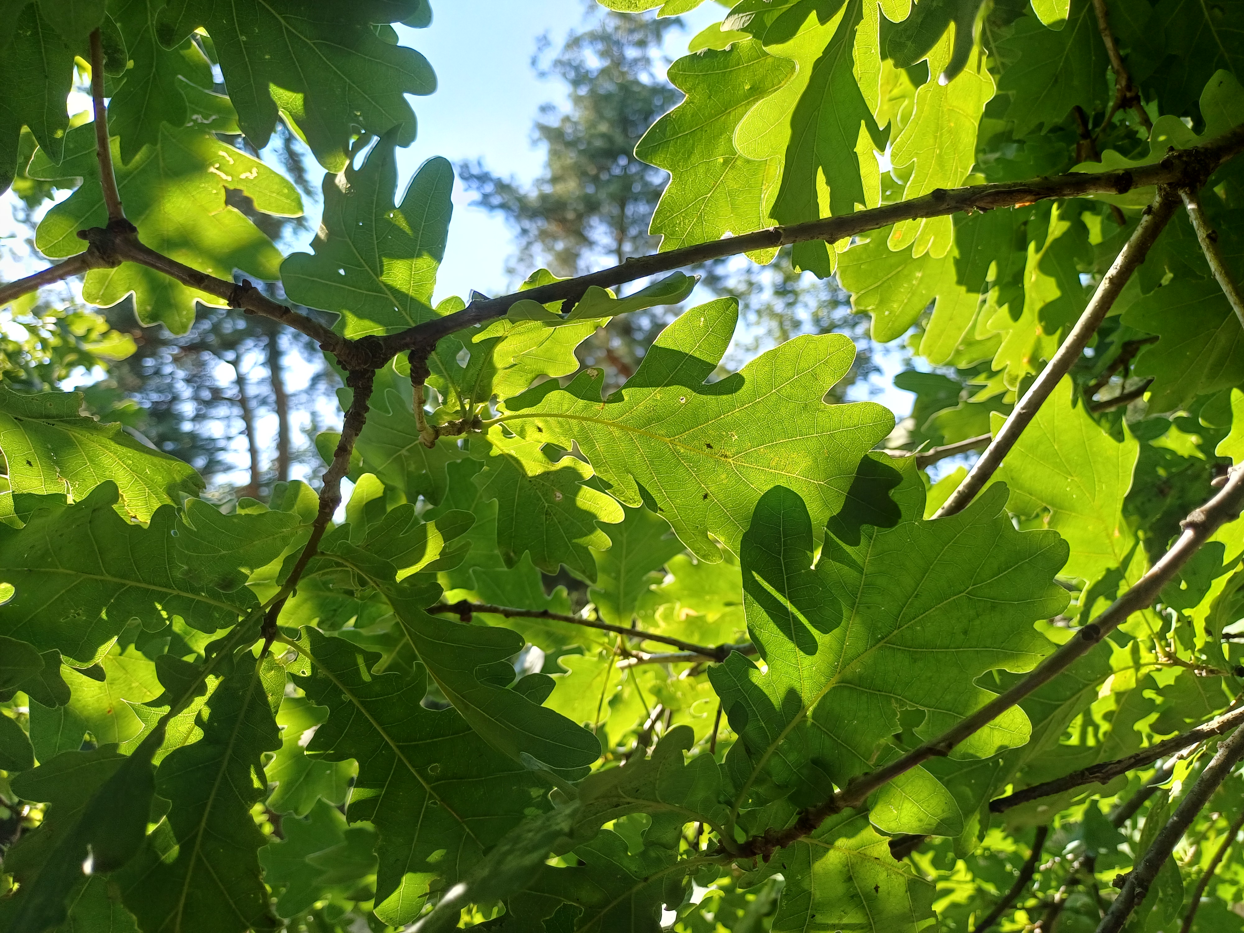 20260726_161731.jpg