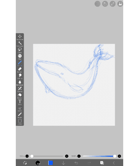 whale.gif